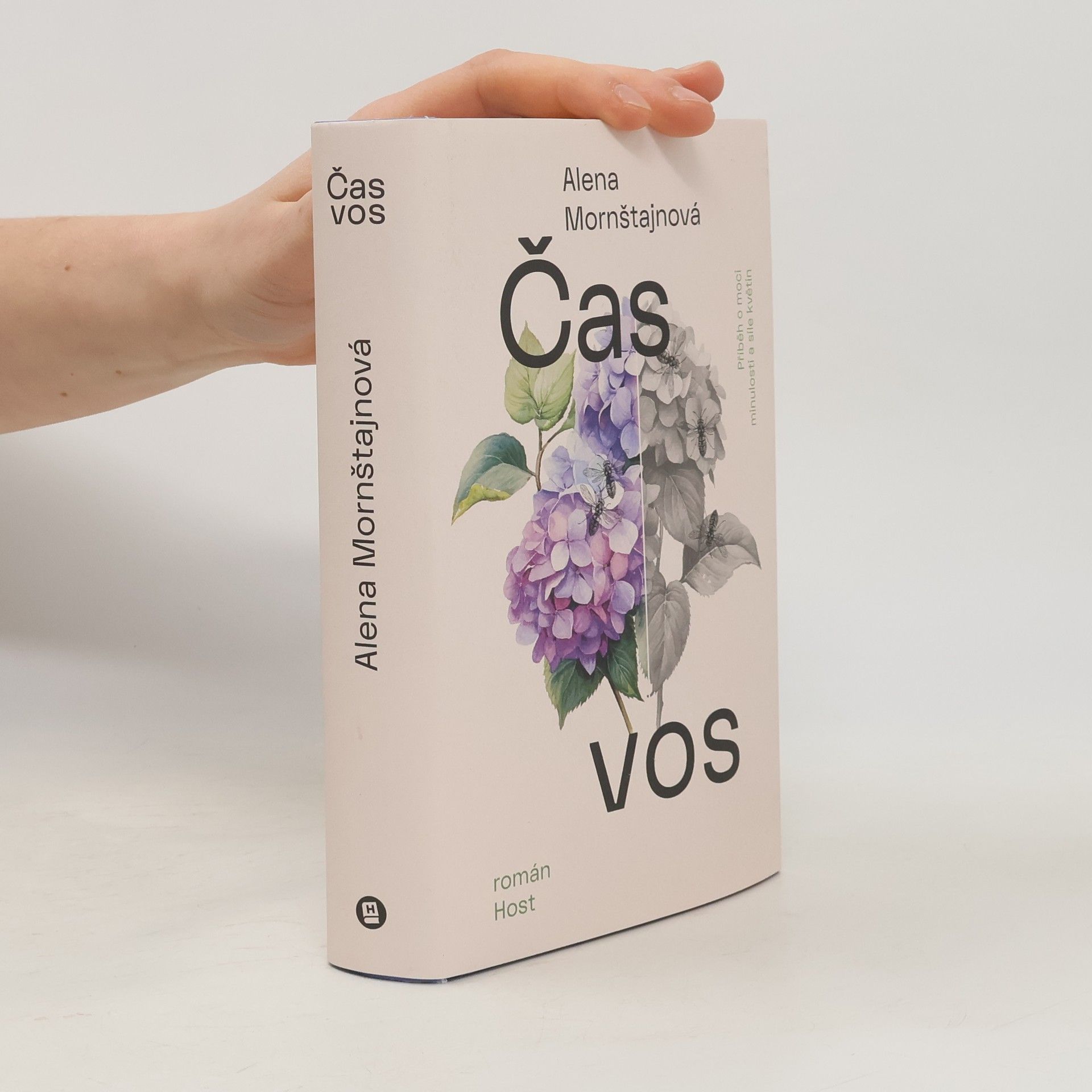 Alena Mornštajnová Čas vos