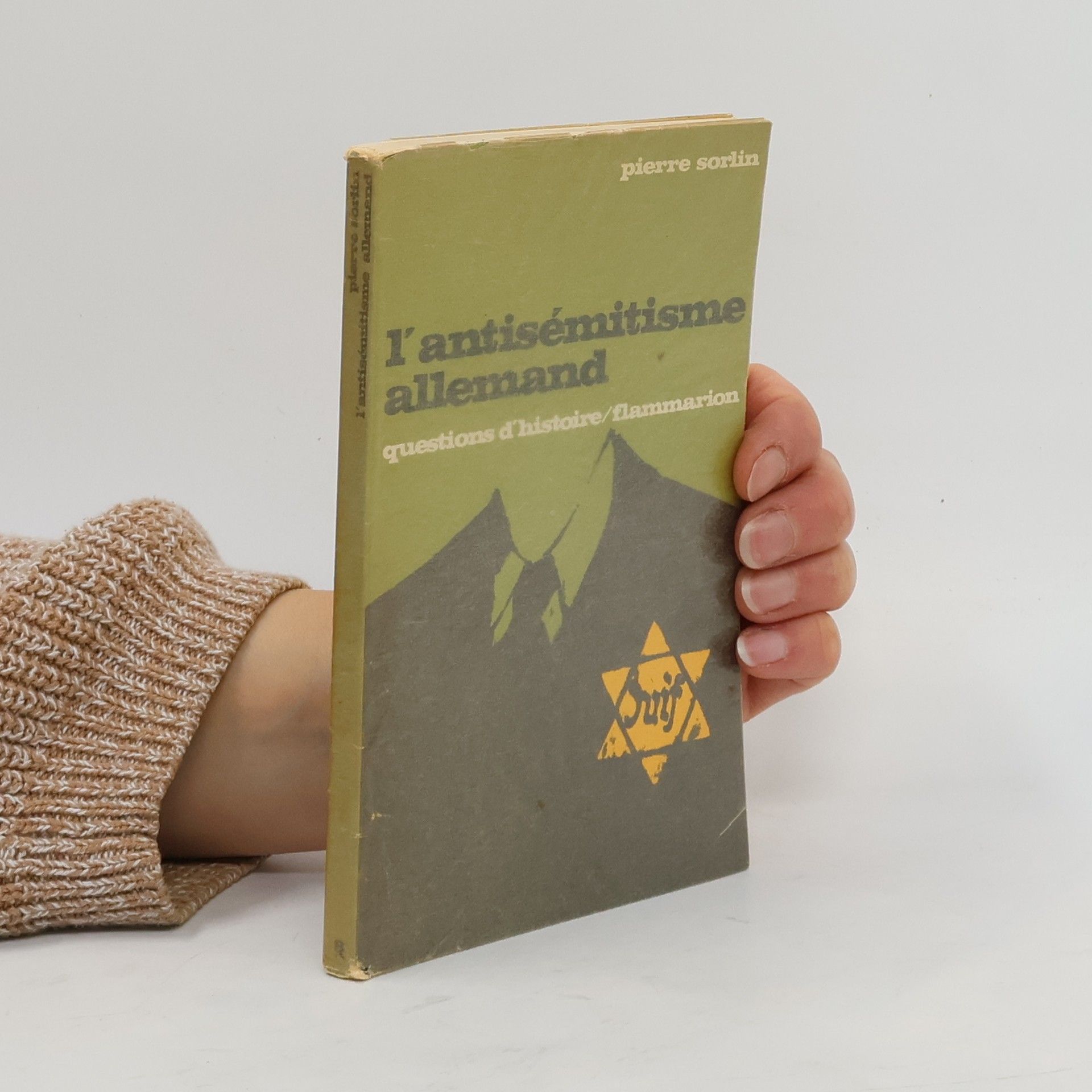 Pierre Sorlin L'antisémitisme allemand