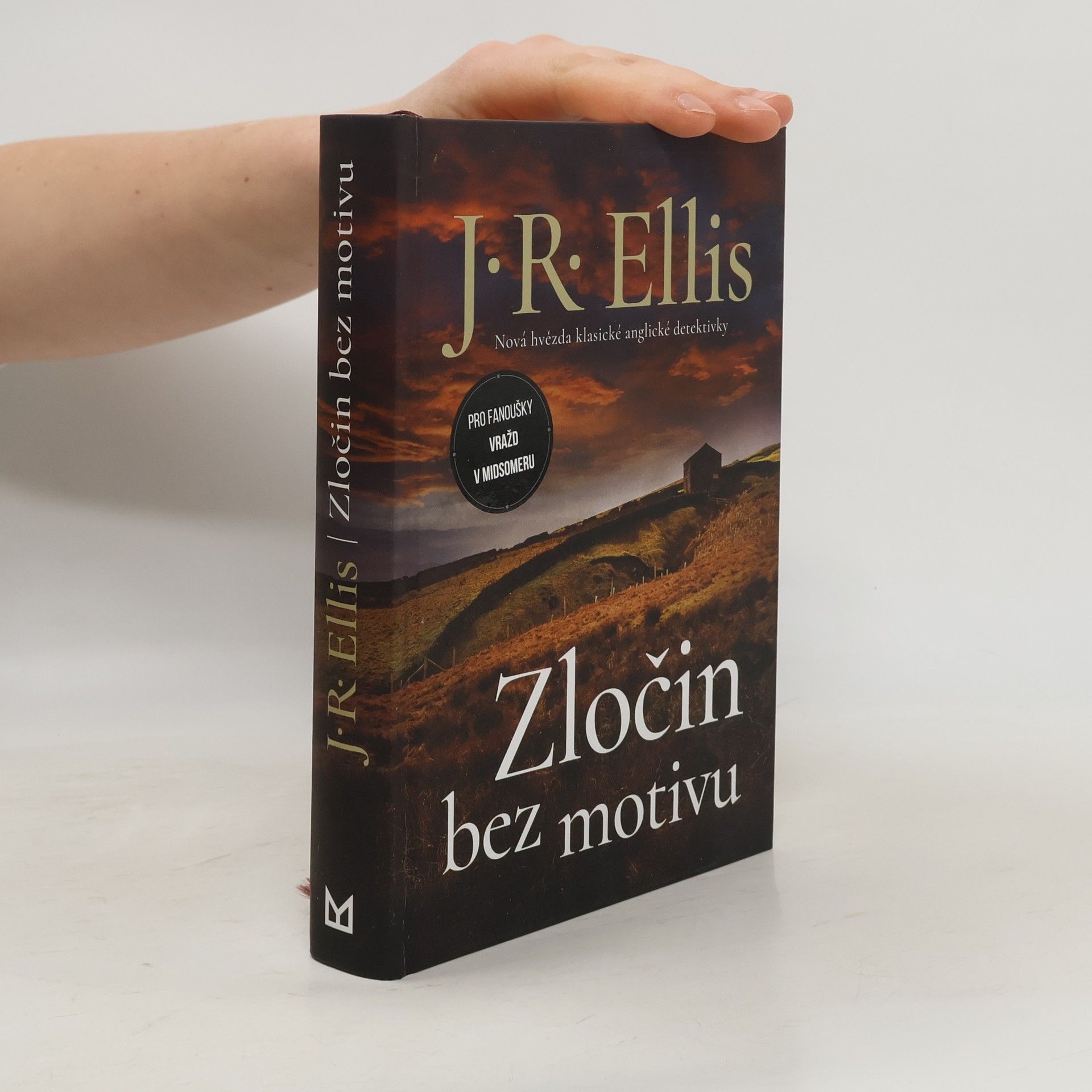 Steven J. R. Ellis Zločin bez motivu