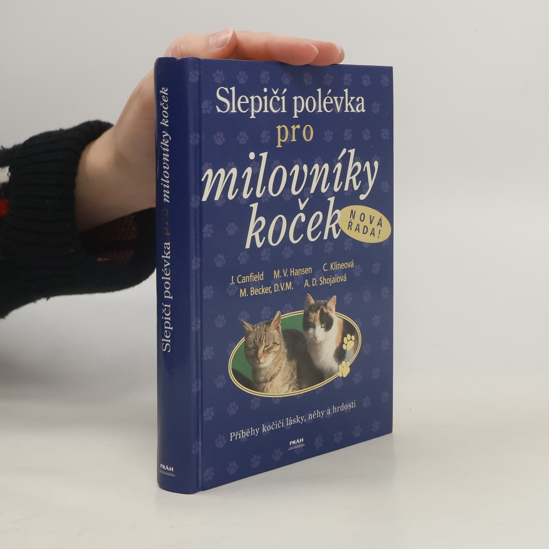 Jack Canfield Slepičí polévka pro milovníky koček: Příběhy o kočičí věrnosti, radosti i odvaze