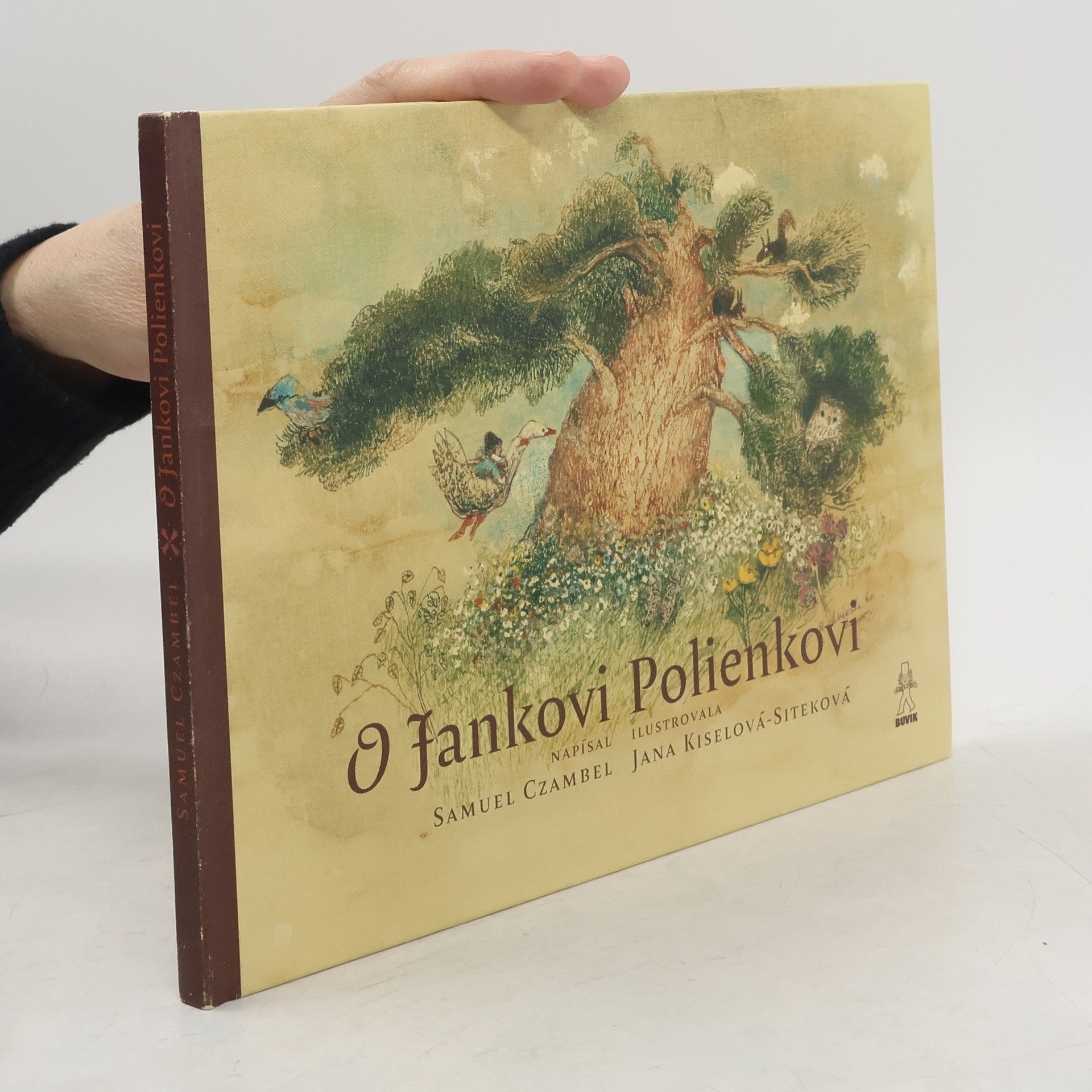 O Jankovi Polienkovi