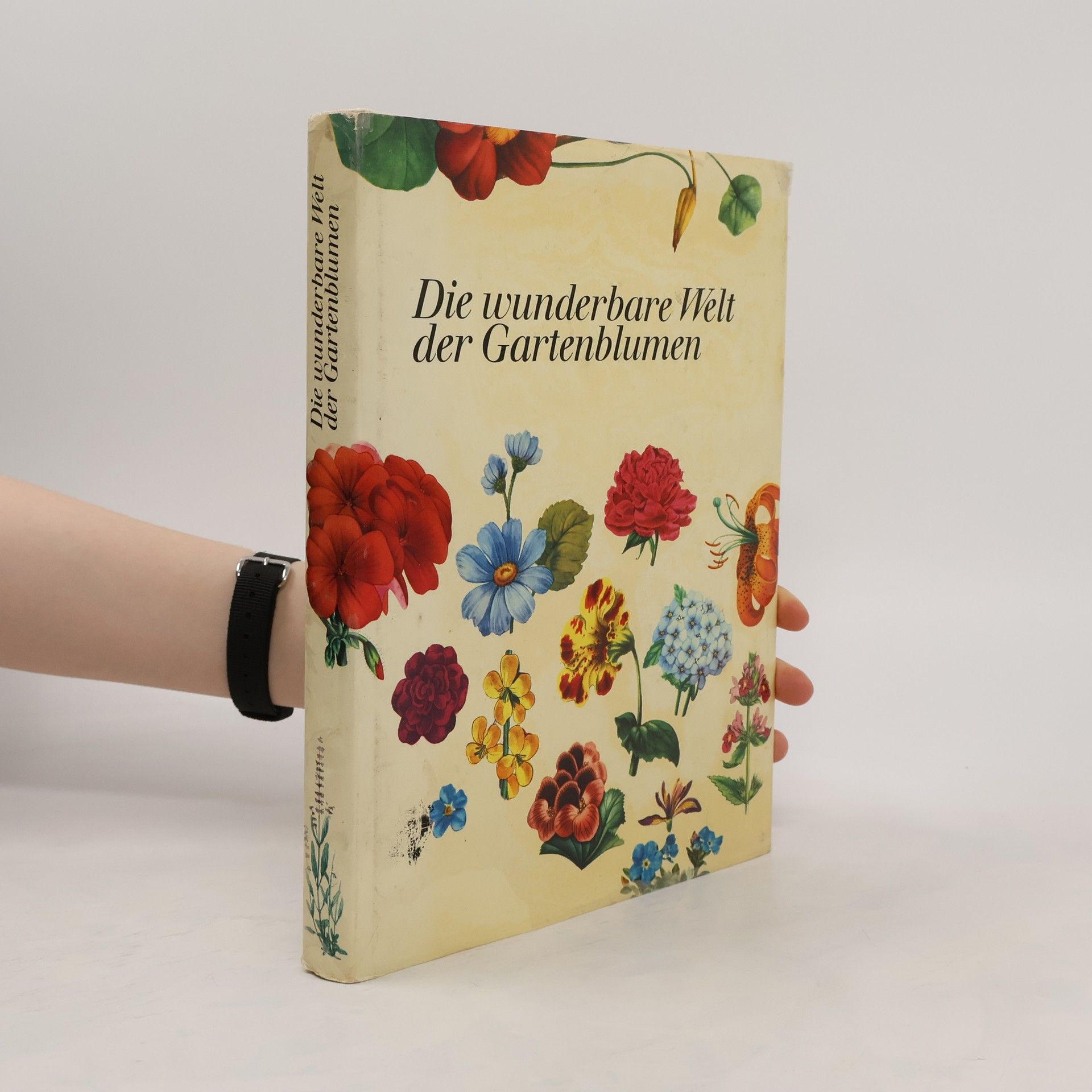 Autorenkollektiv Die wunderbare Welt der Gartenblumen