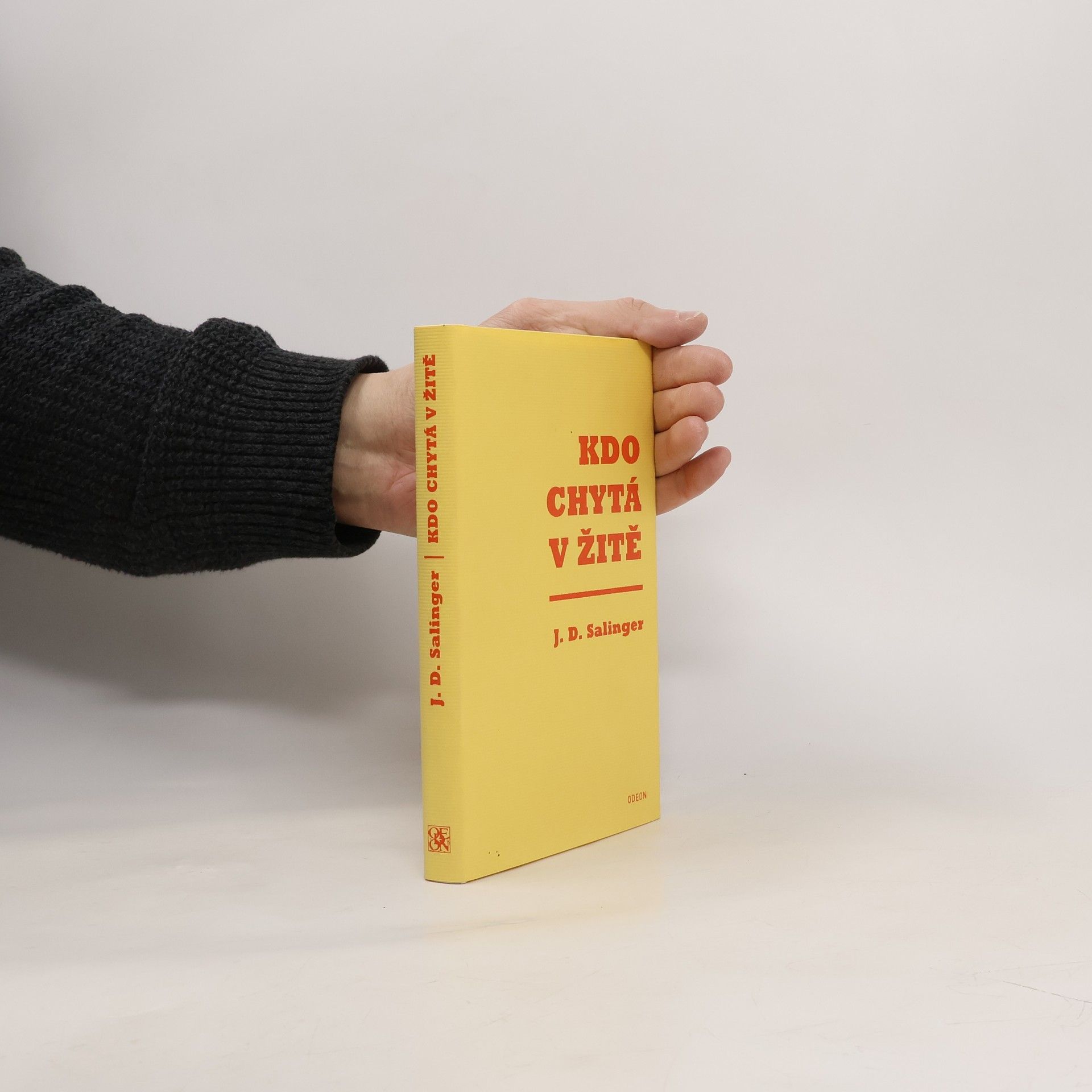 Jerome David Salinger Kdo chytá v žitě