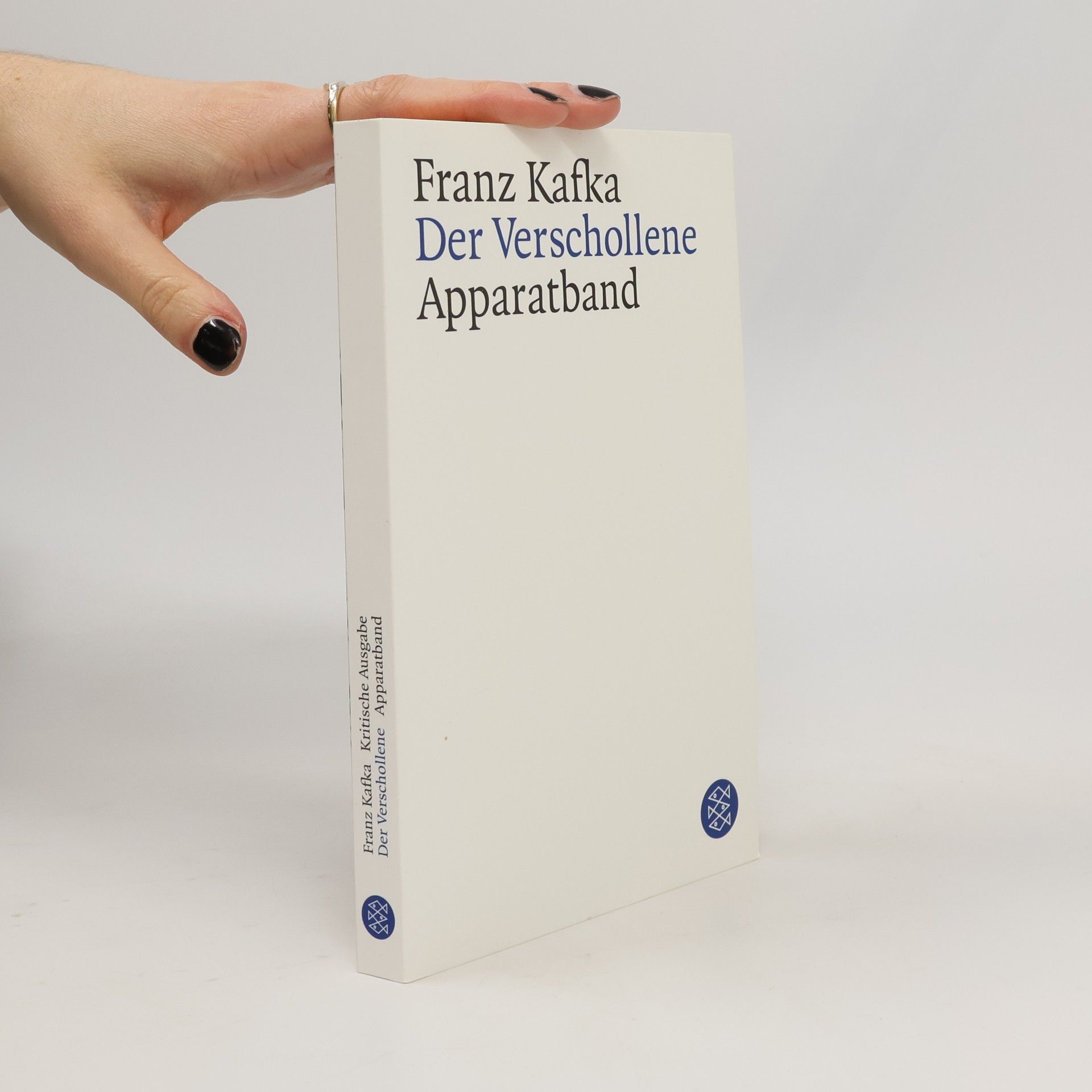 Kritische Ausgabe: Der Verschollene