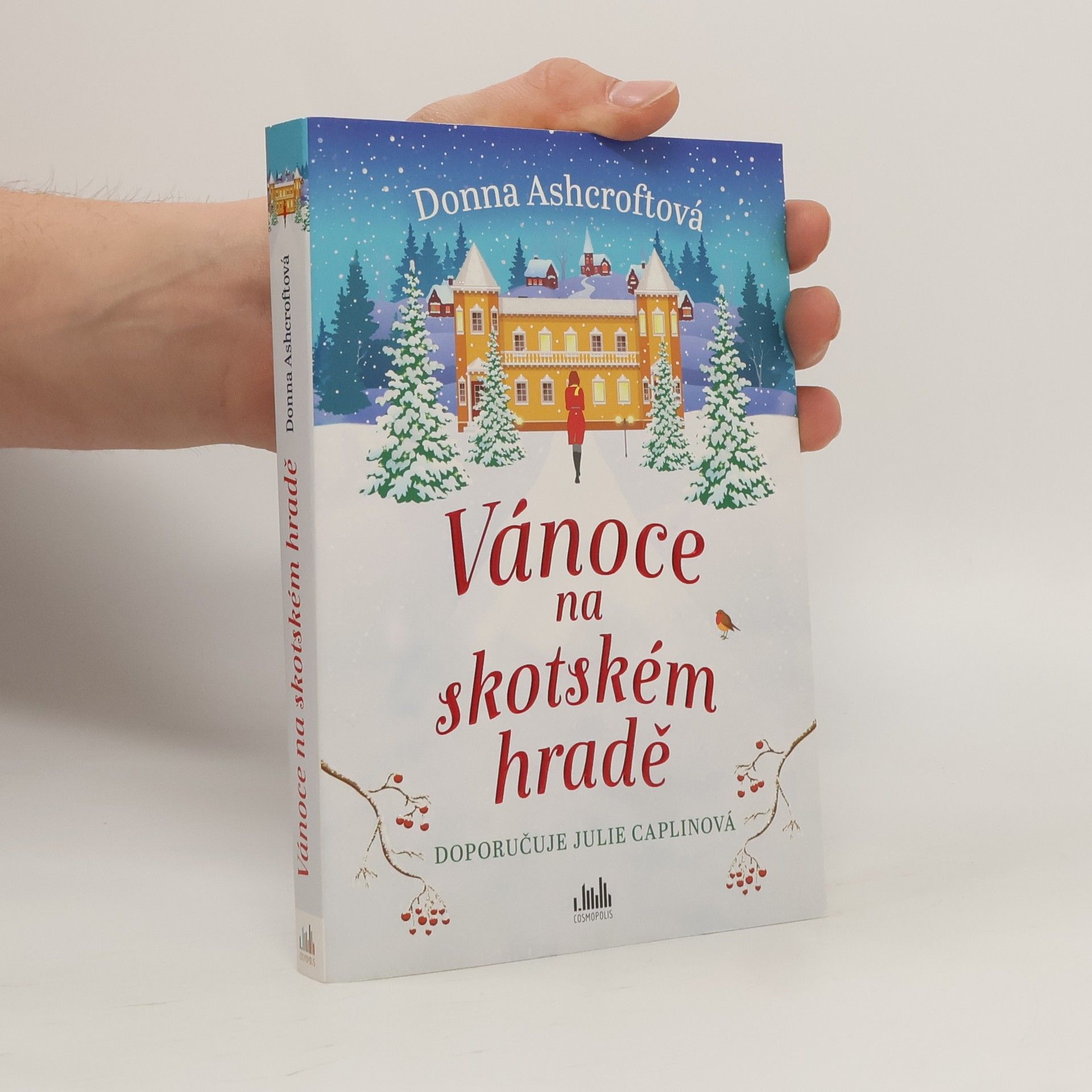 Donna Ashcroft Vánoce na skotském hradě