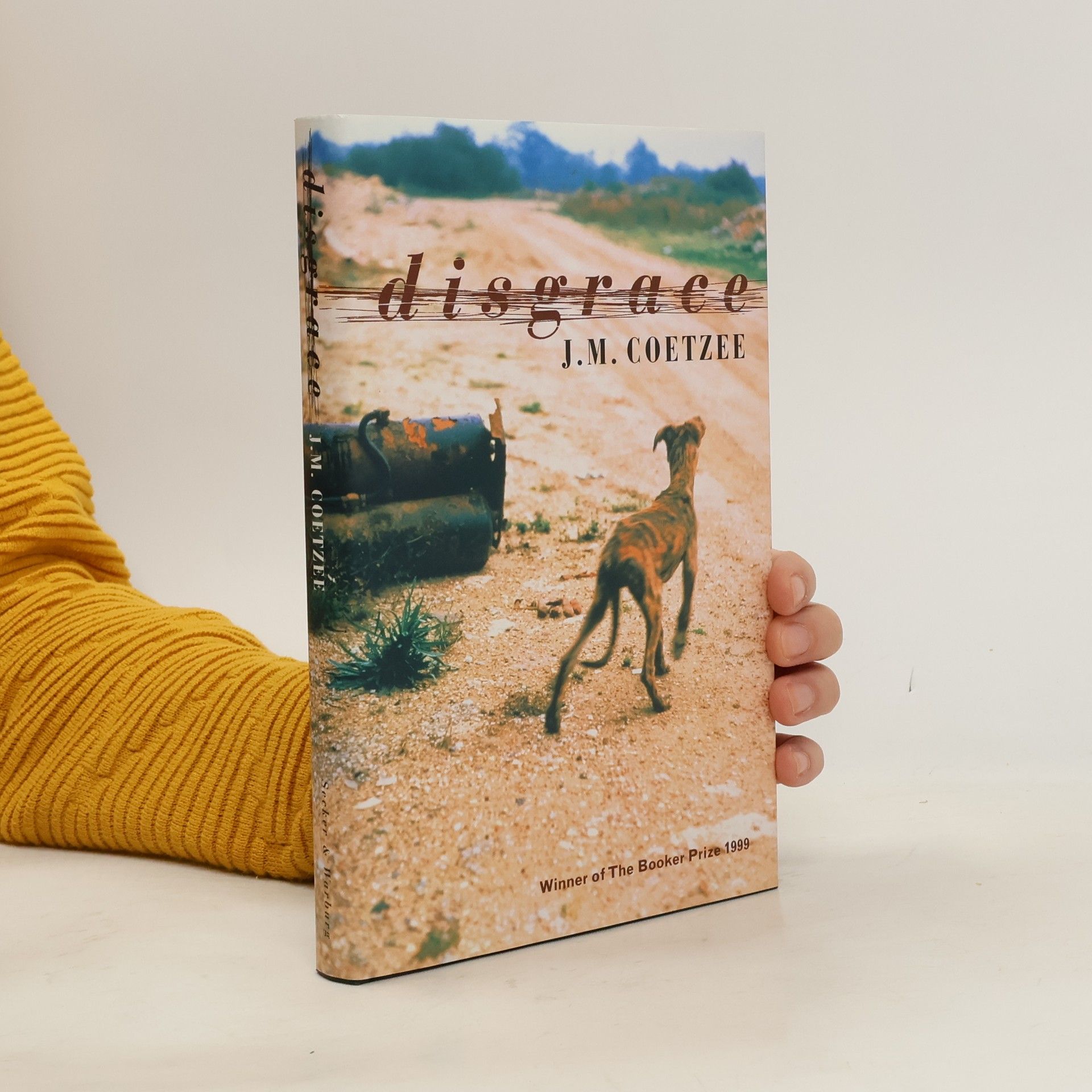 J. M. Coetzee Disgrace