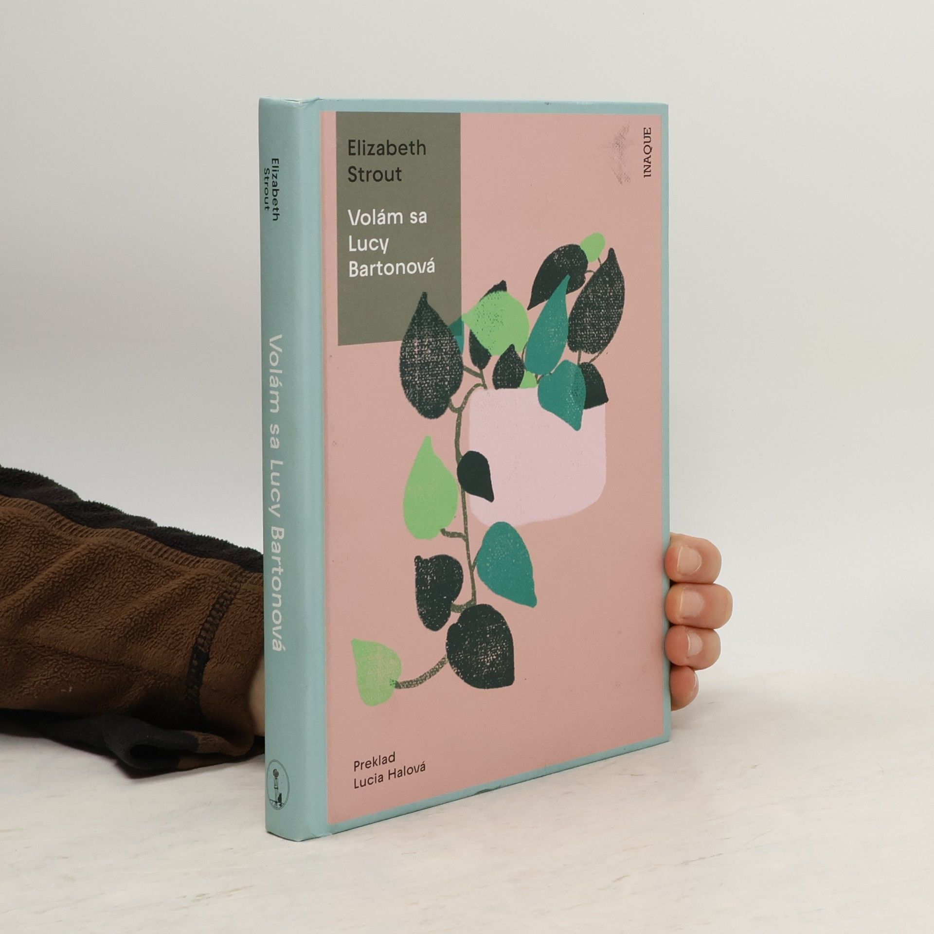 Elizabeth Strout Volám sa Lucy Bartonová