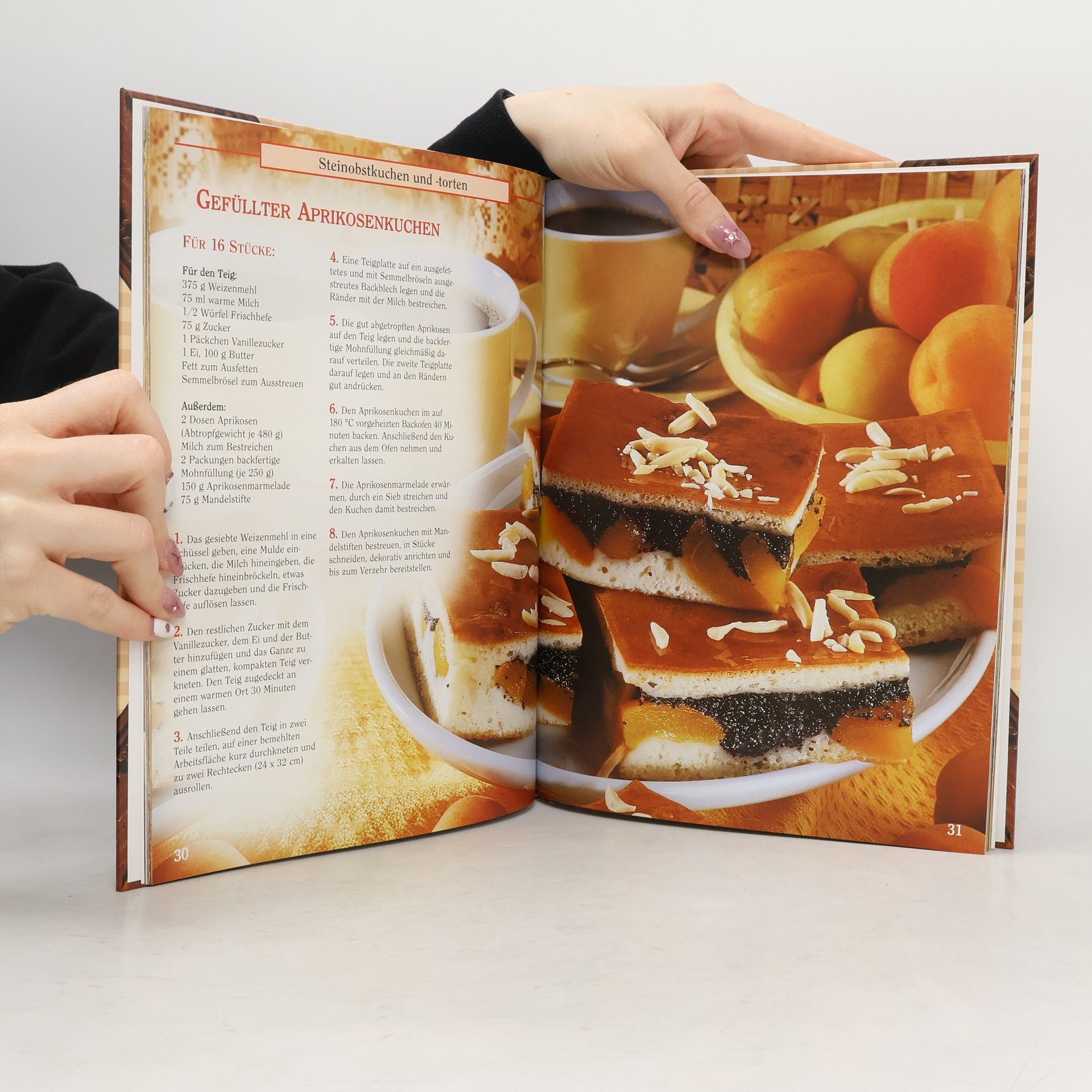 Kolektiv autorů Großmutters Obstkuchen
