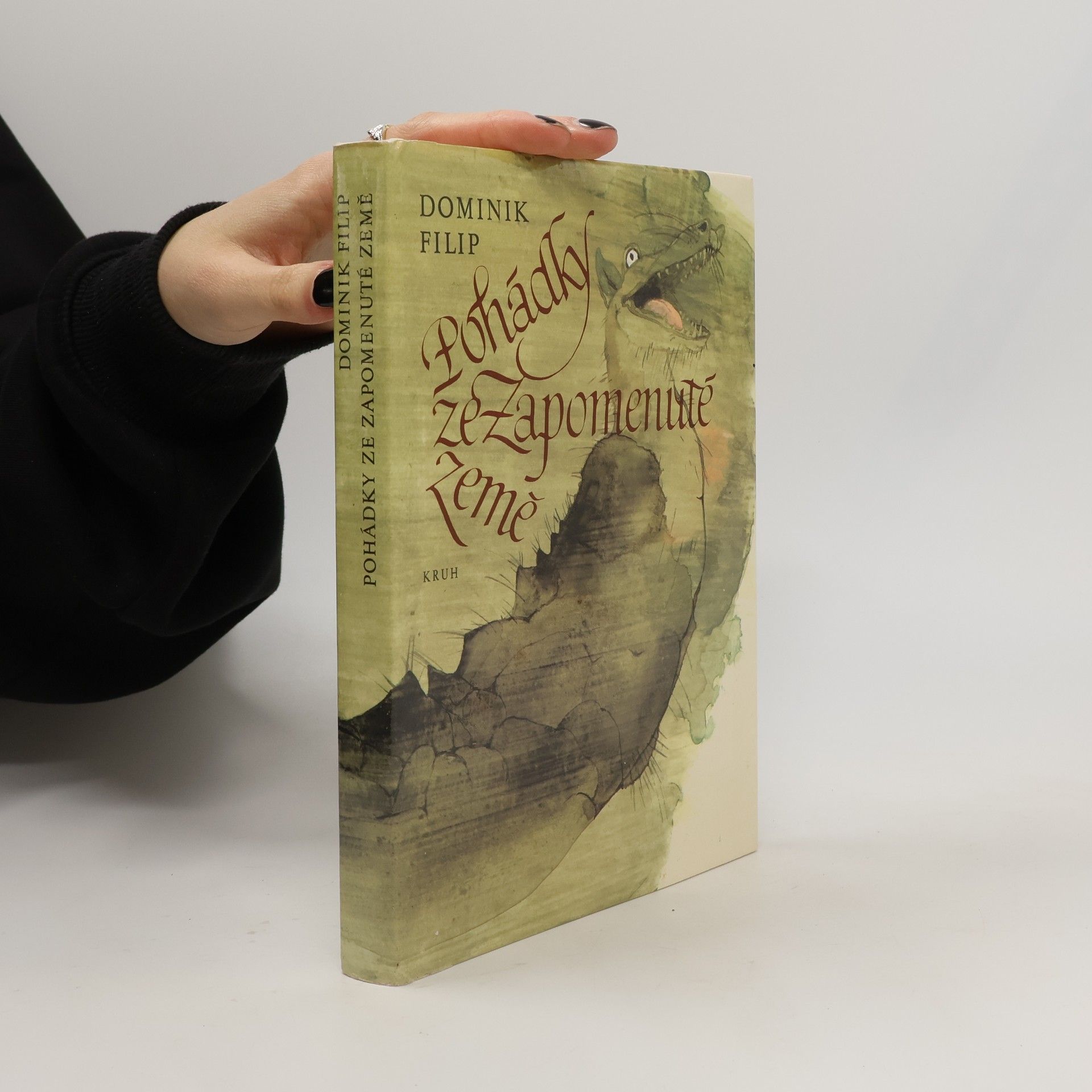 Pohádky ze Zapomenuté země