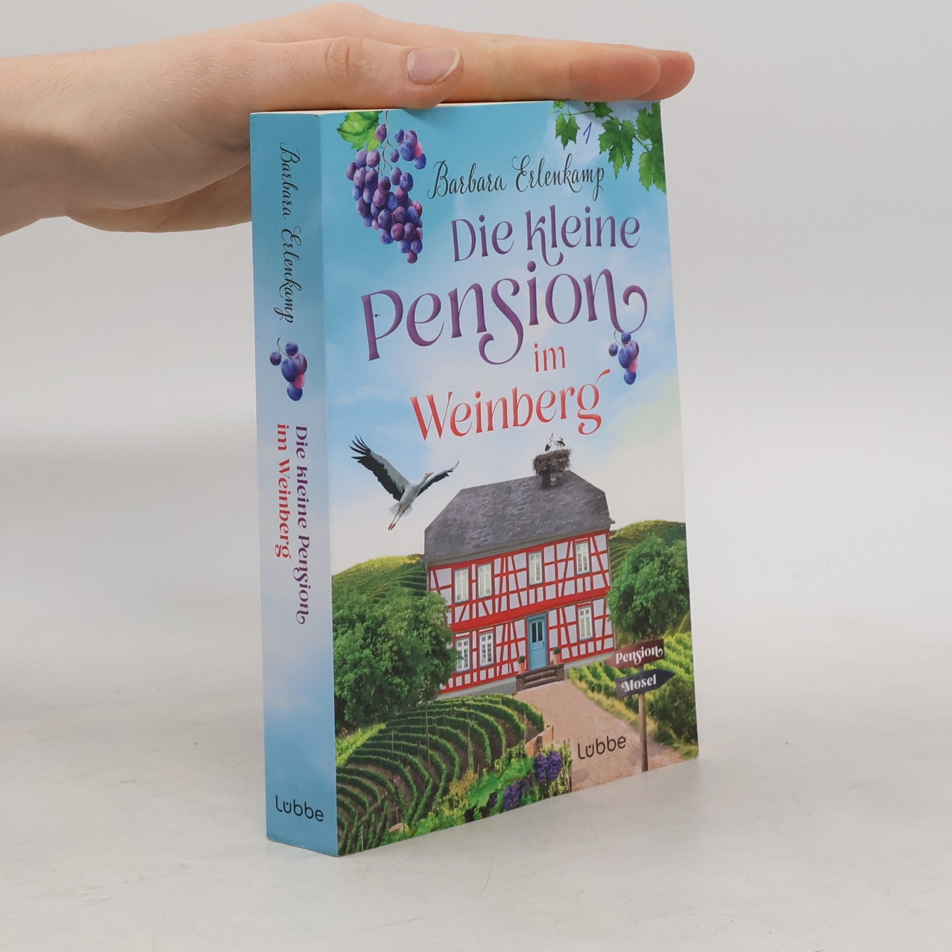 Die kleine Pension im Weinberg