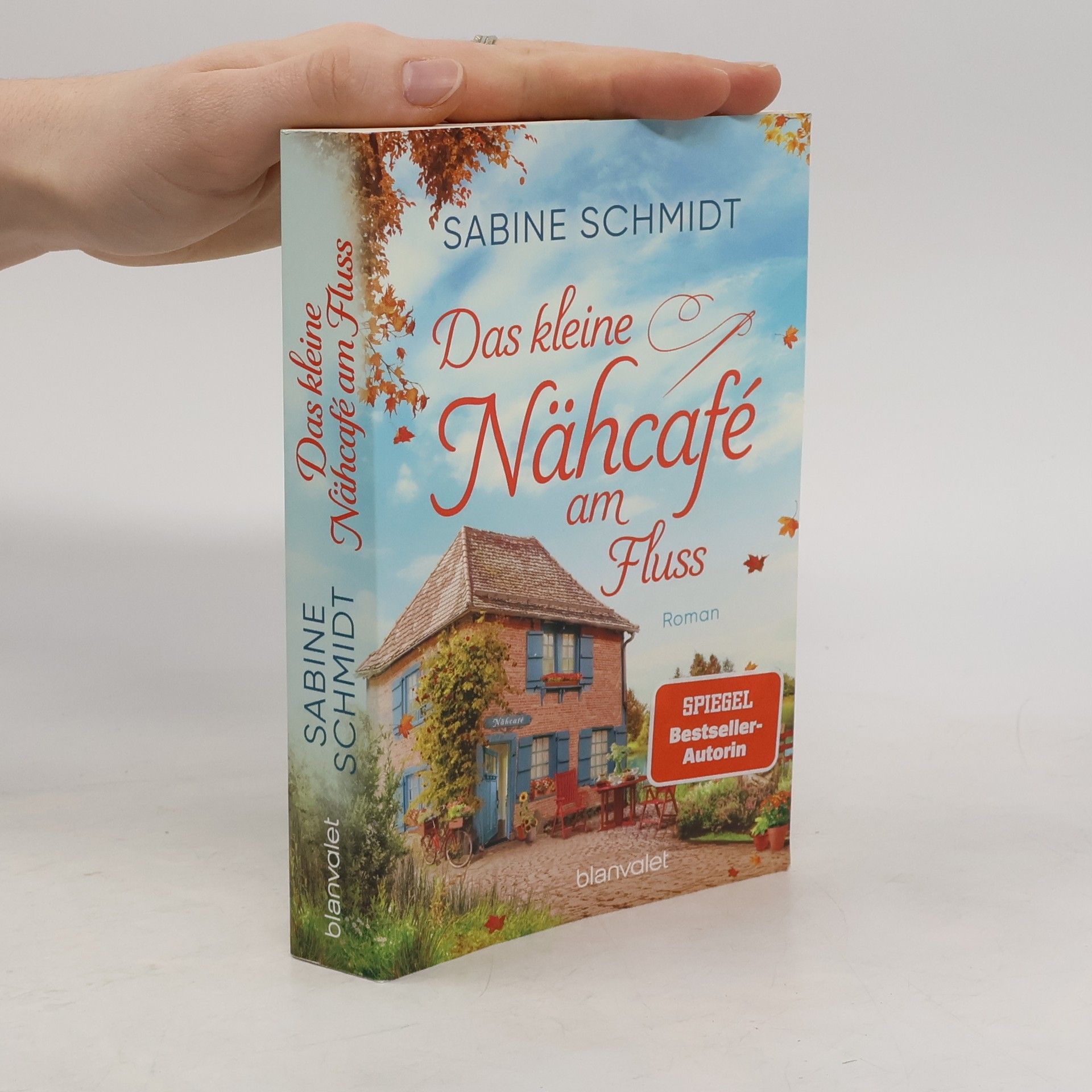 Sabine Schmidt-Wussow Das kleine Nähcafé am Fluss