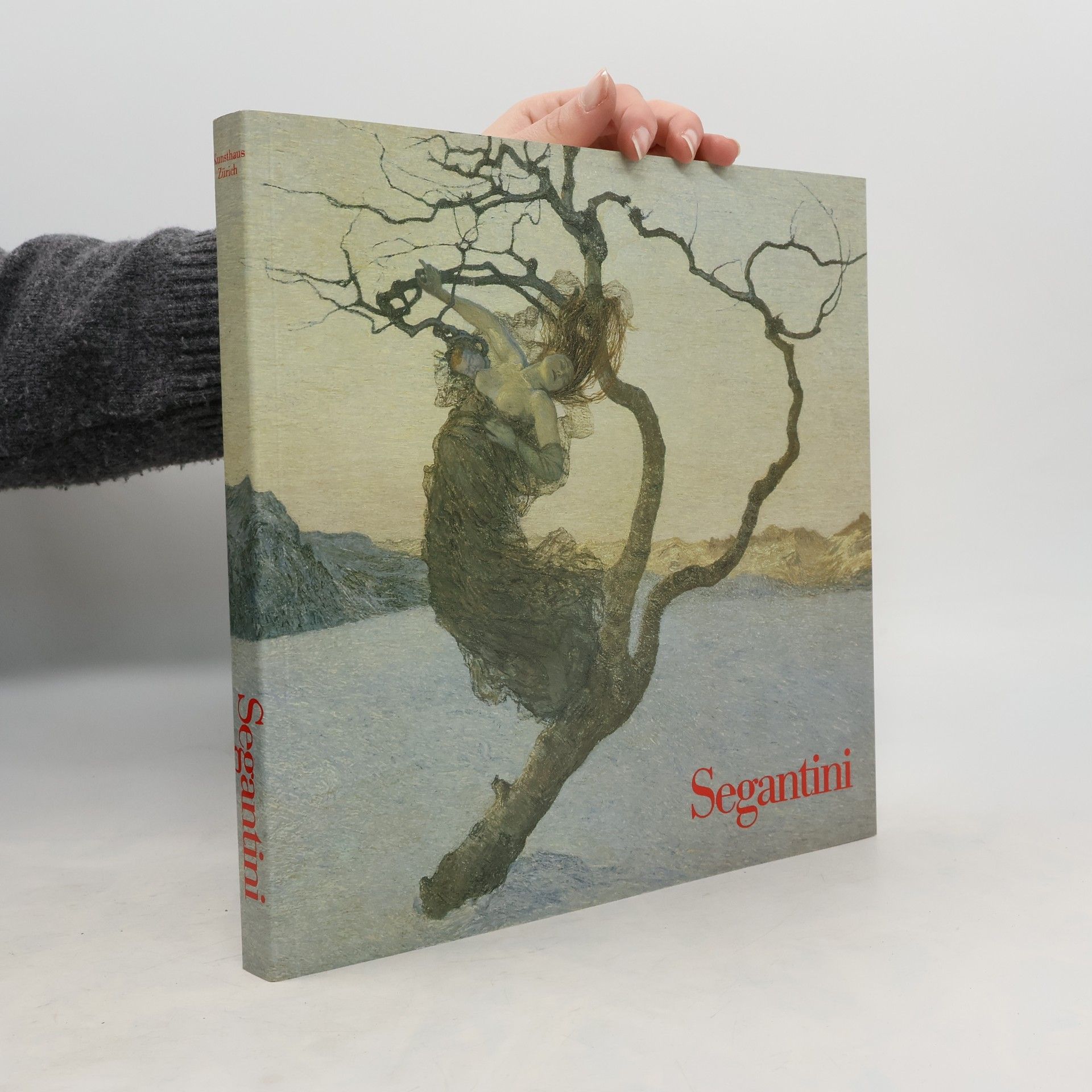 Autorenkollektiv Segantini