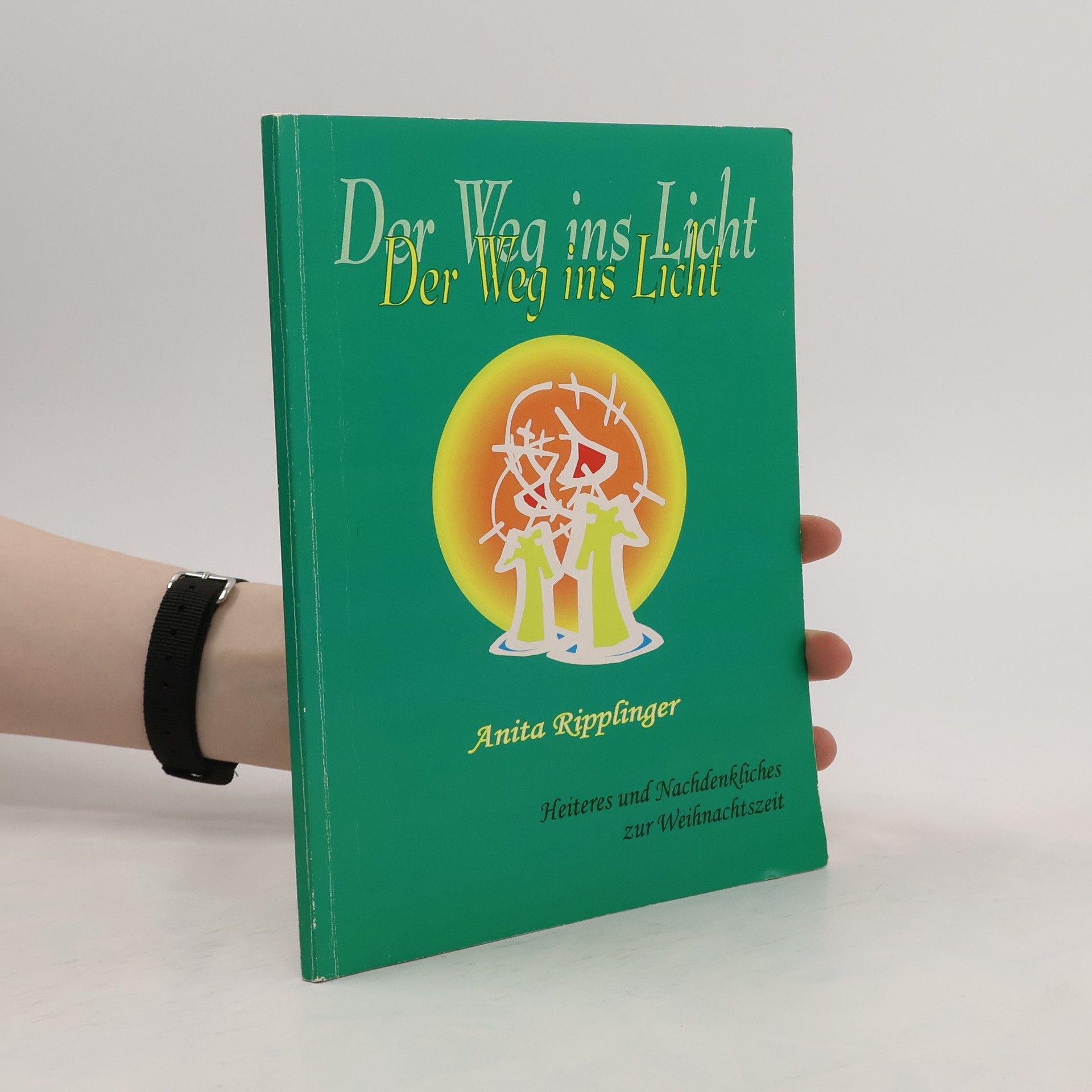 Anita Ripplinger Der Weg ins licht