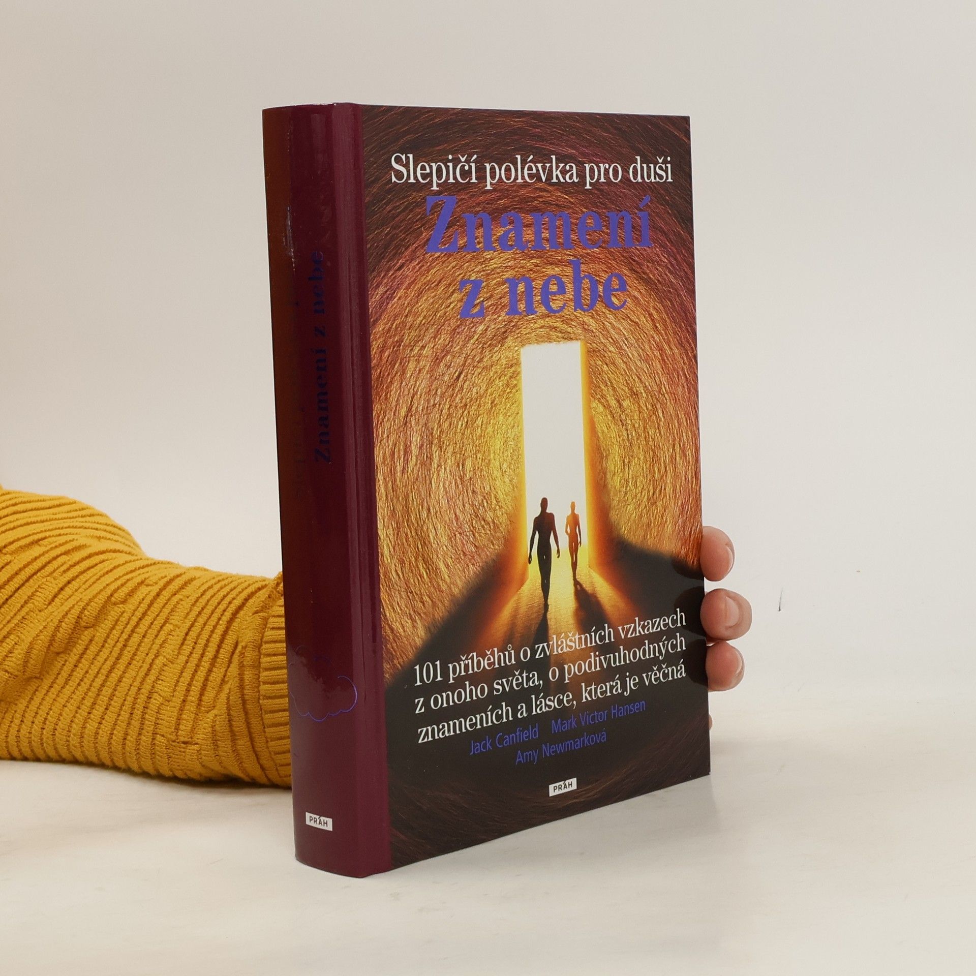 Jack Canfield Slepičí polévka pro duši