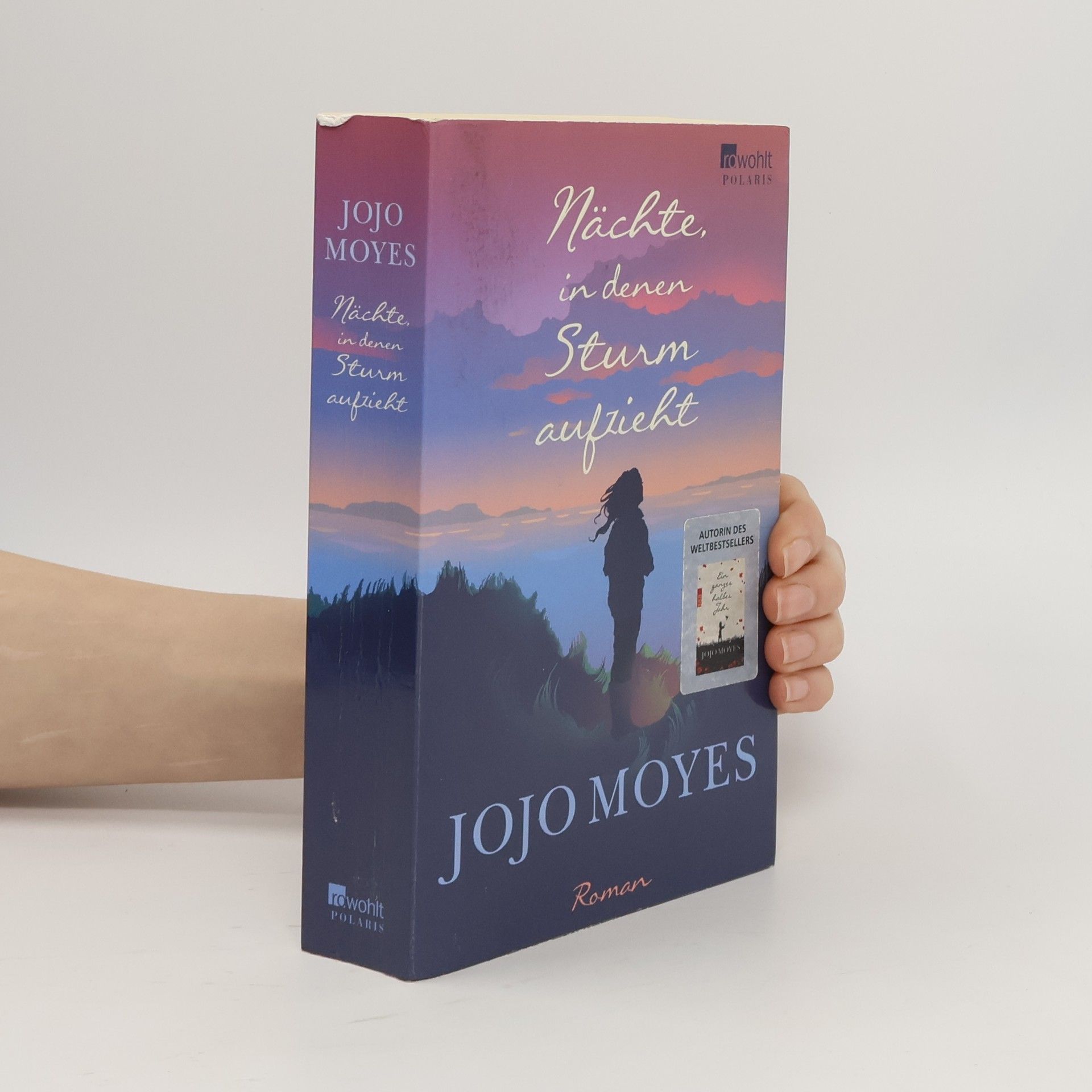 Jojo Moyes Nächte in denen Sturm aufzieht