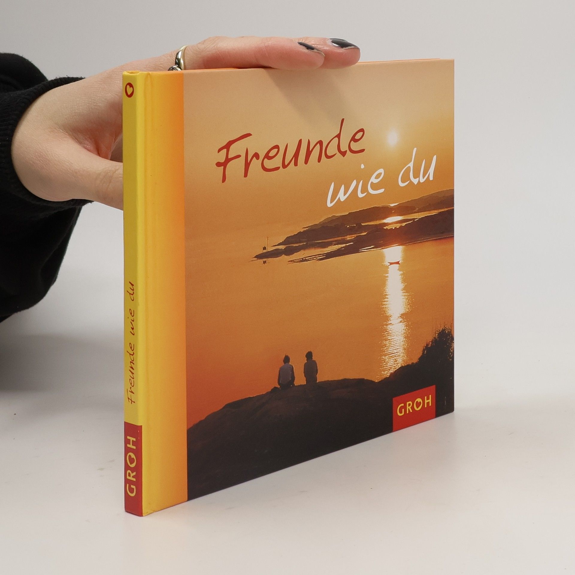 Freunde wie du