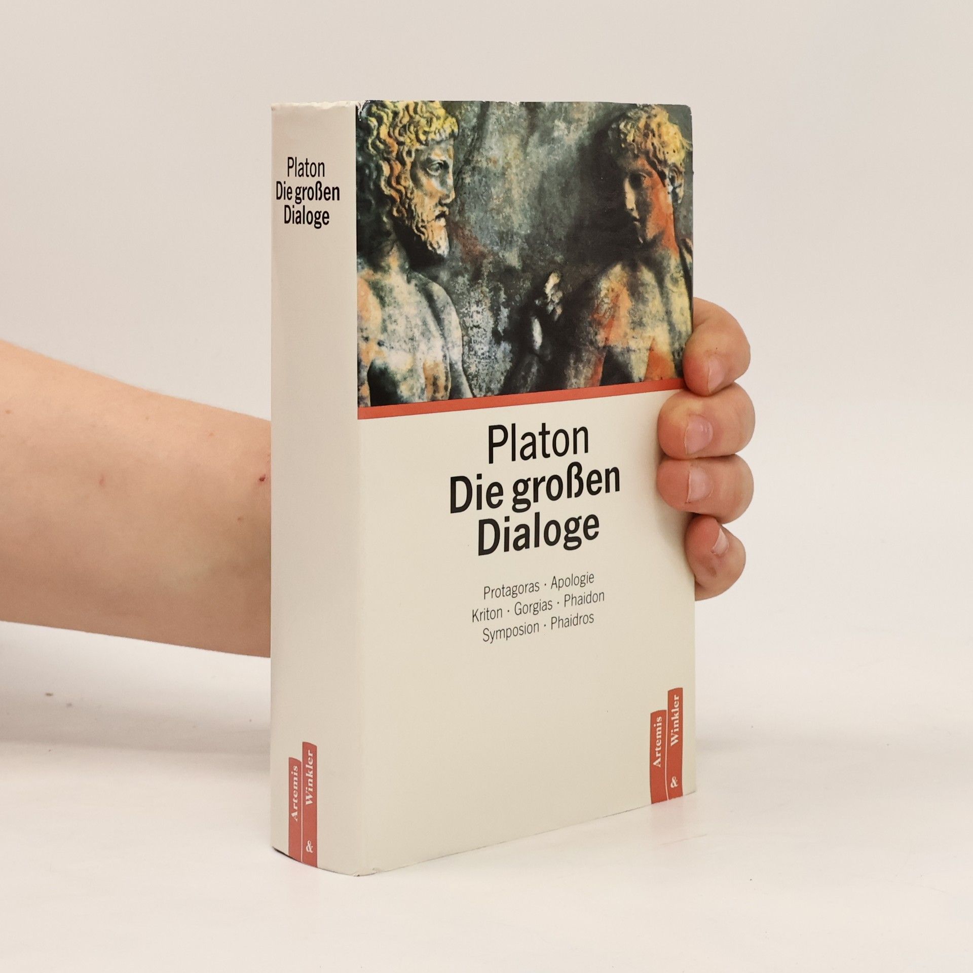 Platon Die grossen Dialoge