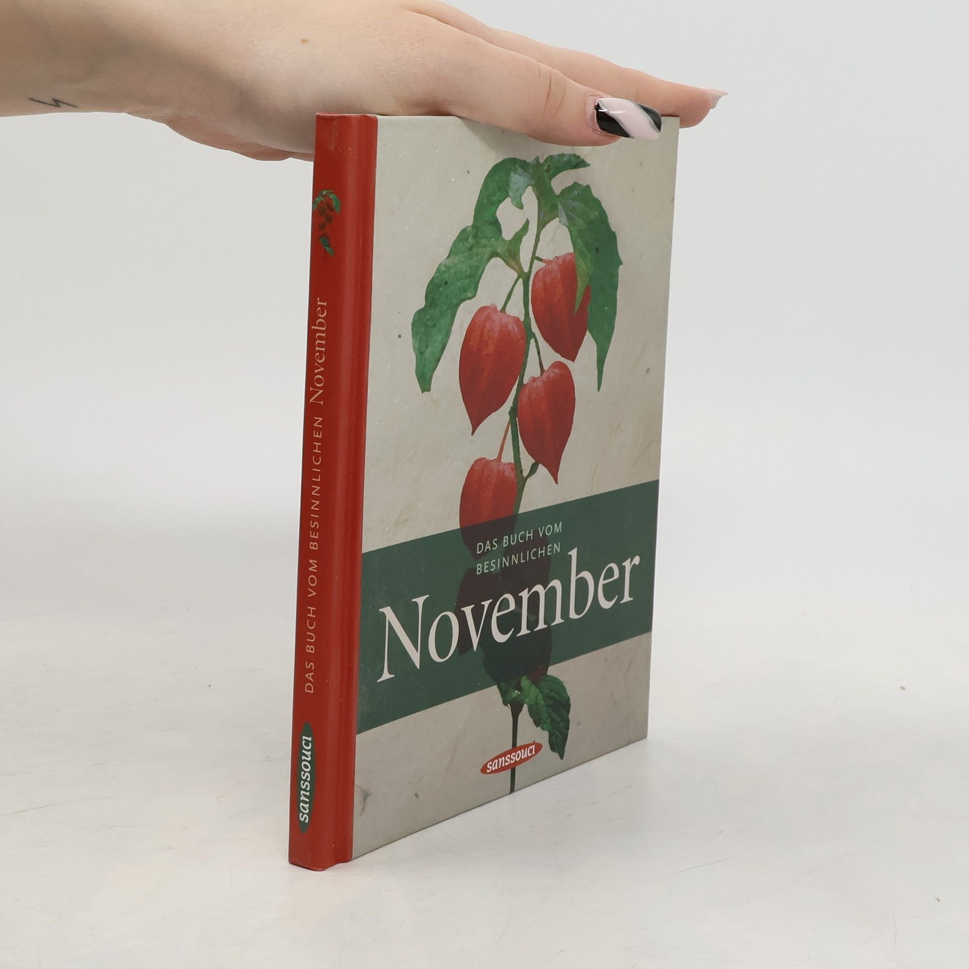 Karen Duve Das Buch vom besinnlichen November