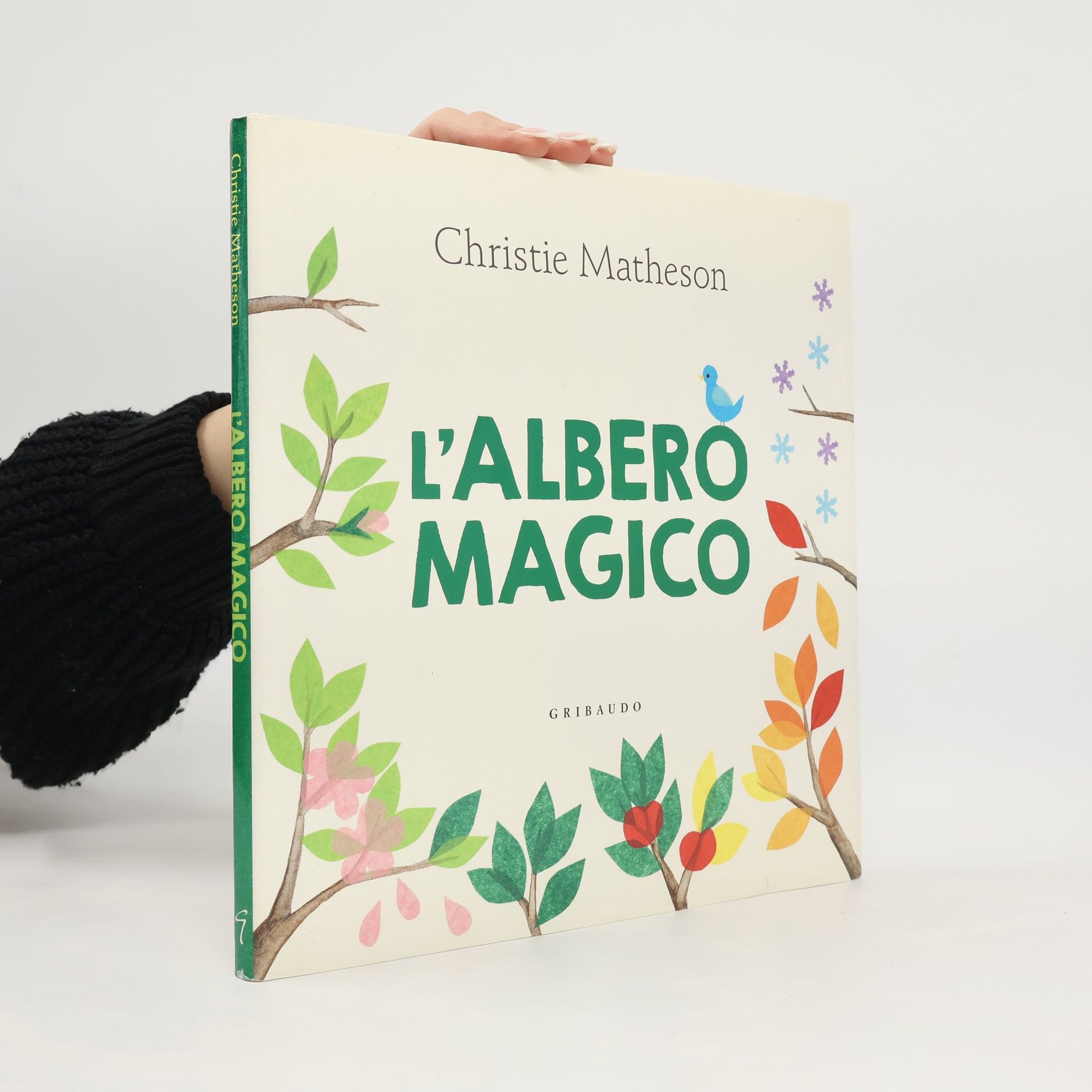 Christie Matheson L'albero magico