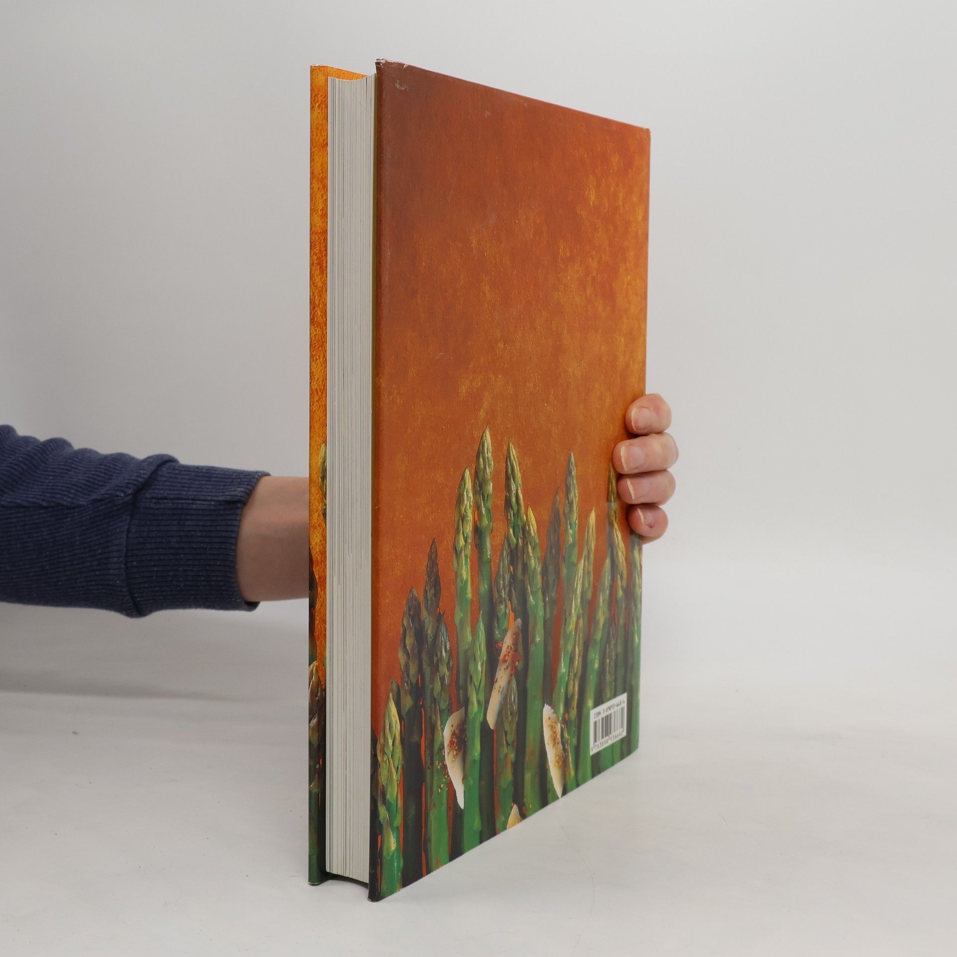 Thomas Heider Das grosse Buch der vegetarischen Küche