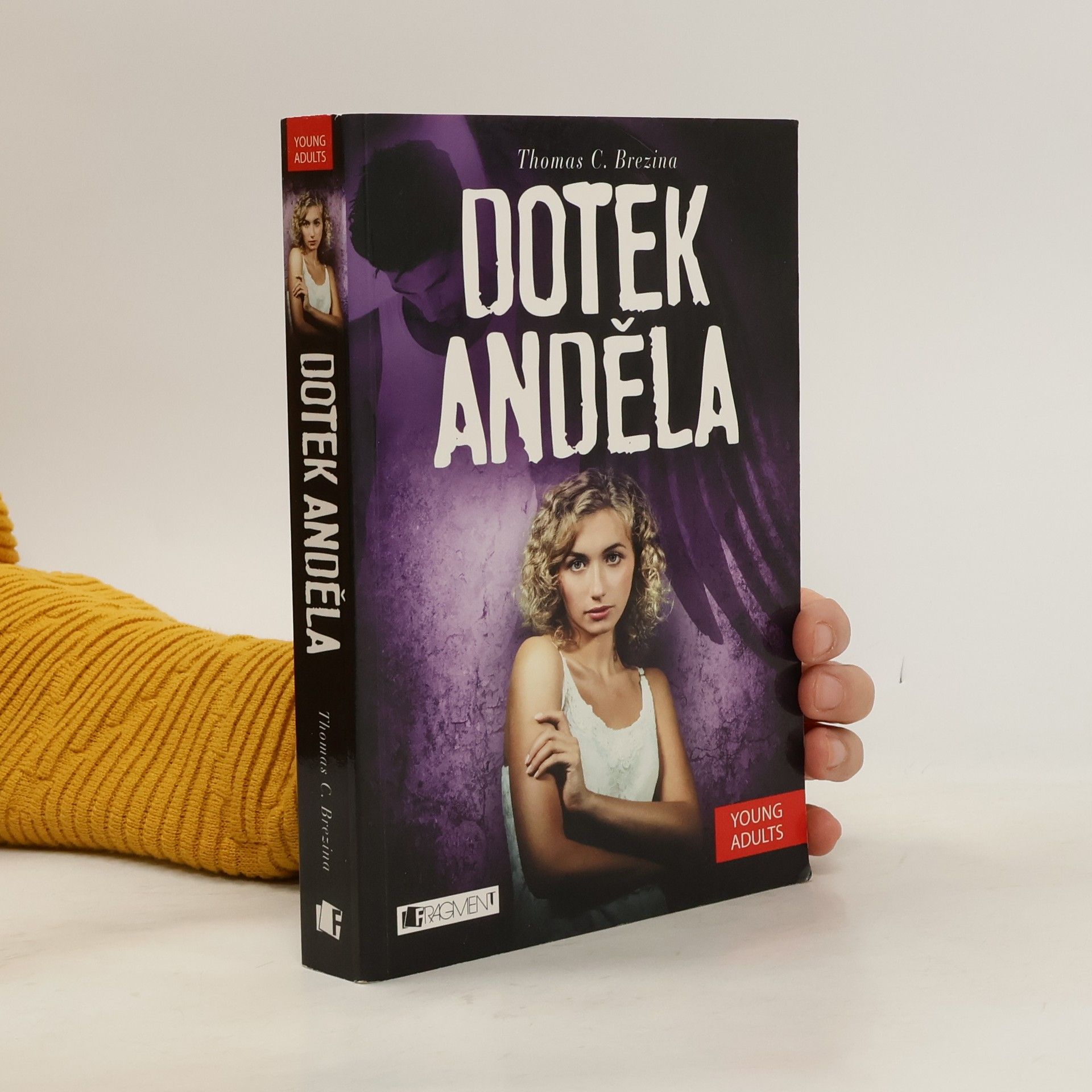 Thomas Brezina Dotek anděla