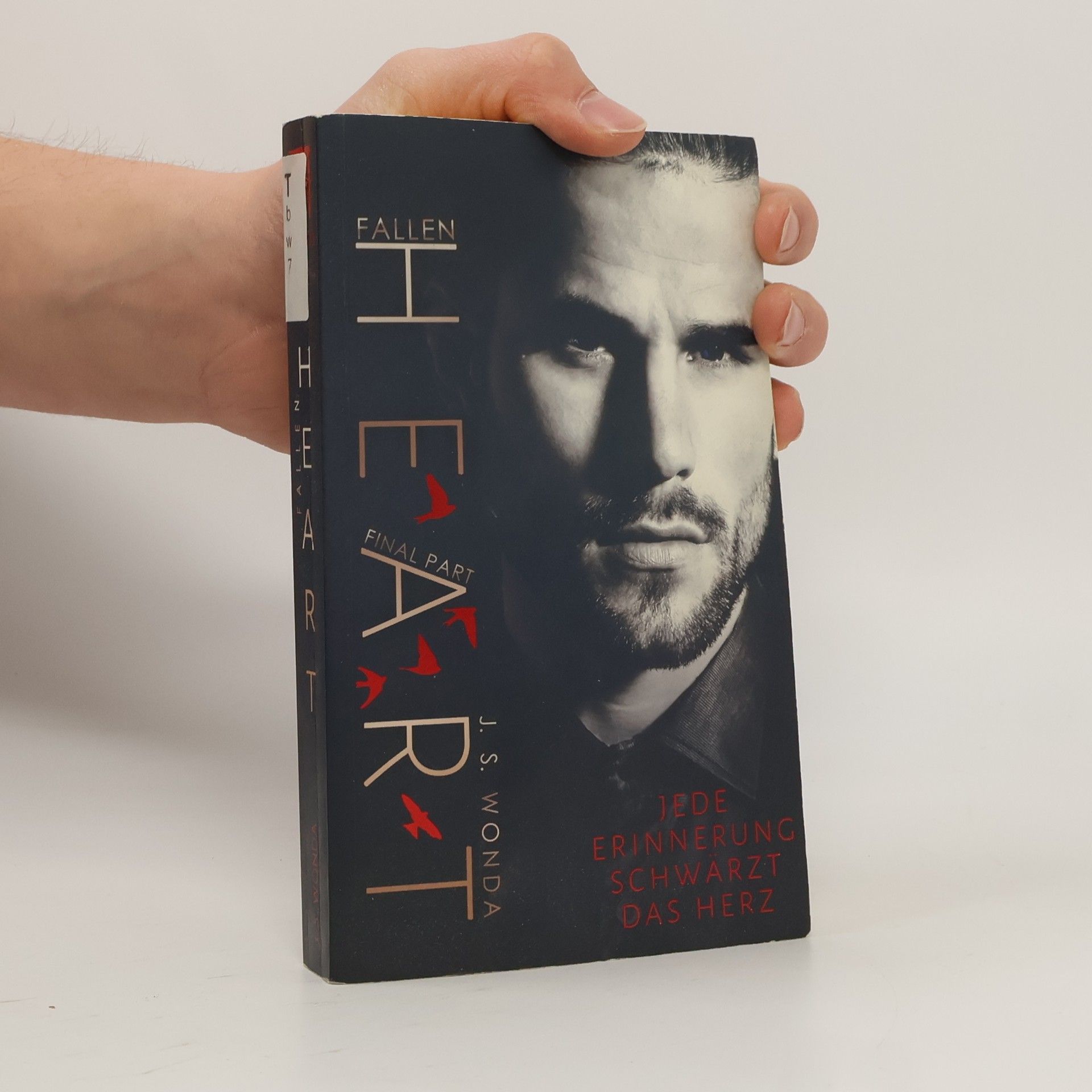 Jane S. Wonda Fallen heart