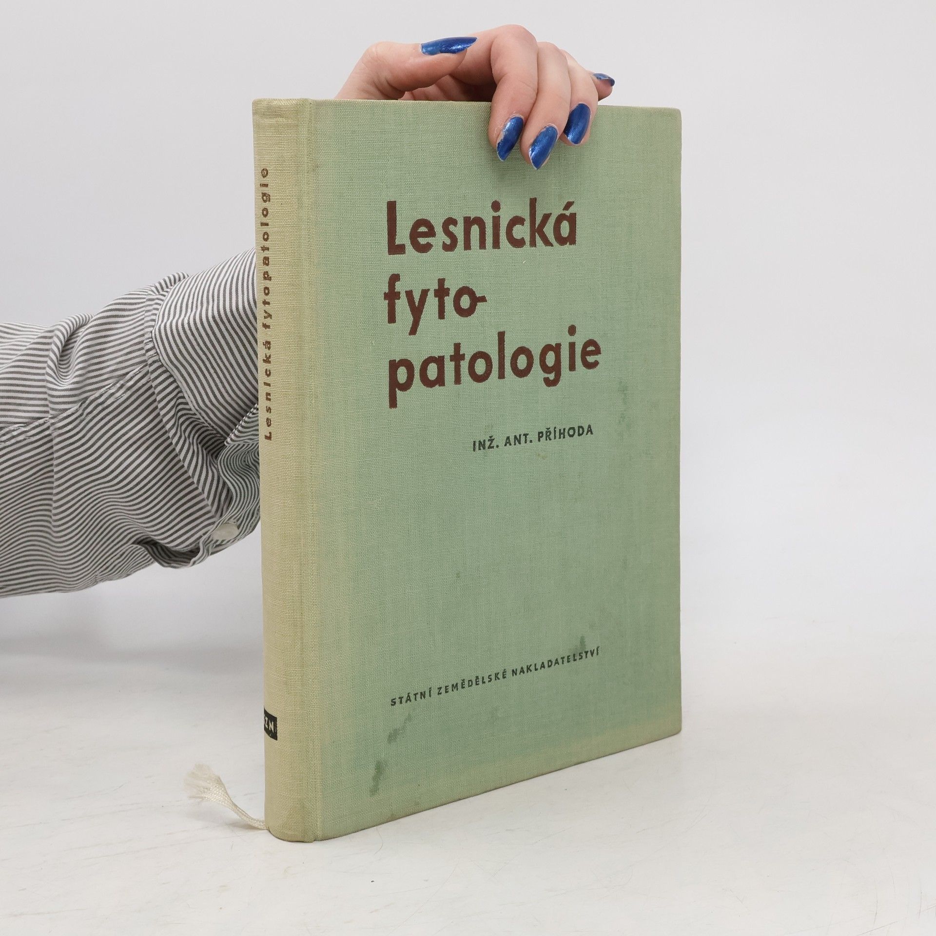 Lesnická fytopatologie