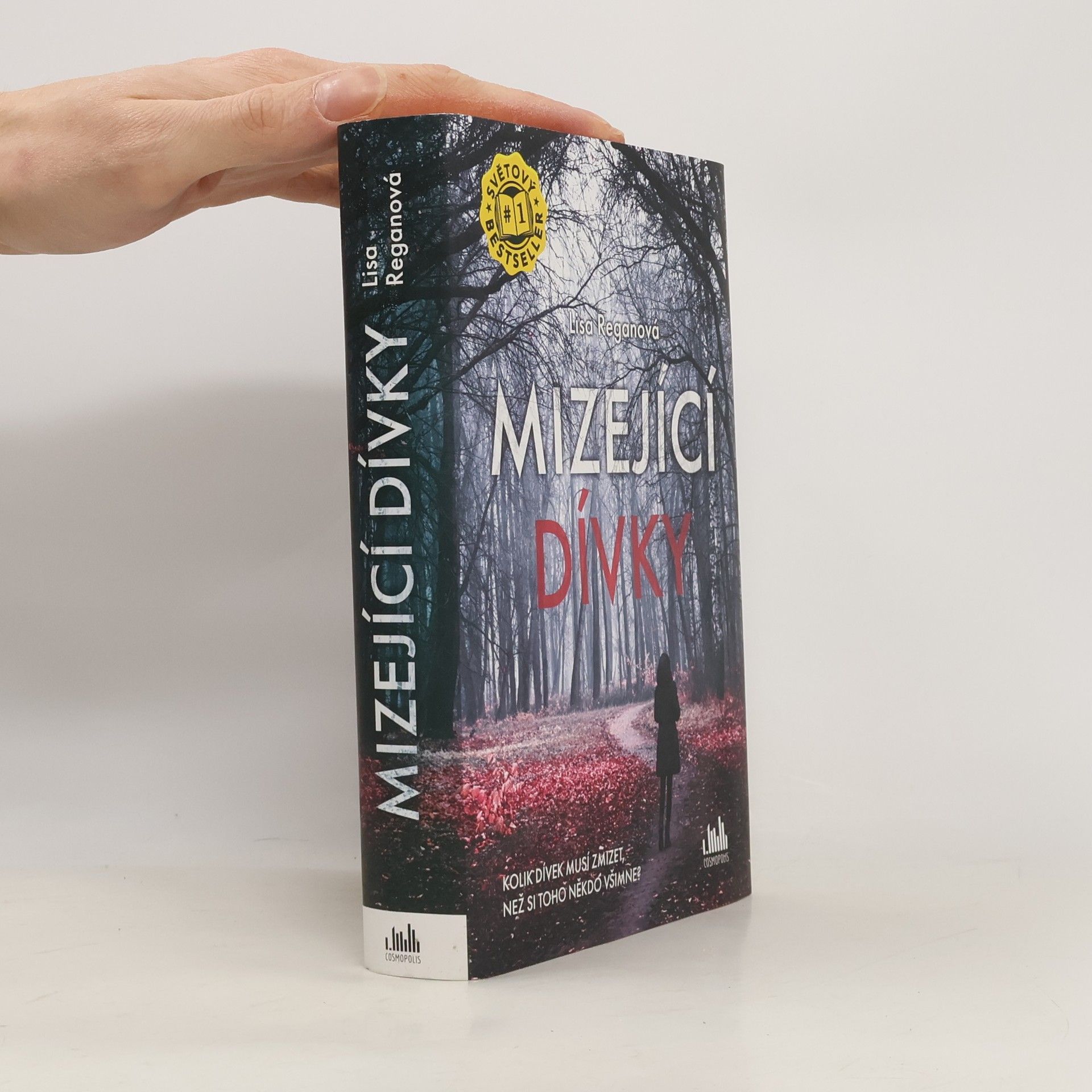 Lisa Regan Mizející dívky