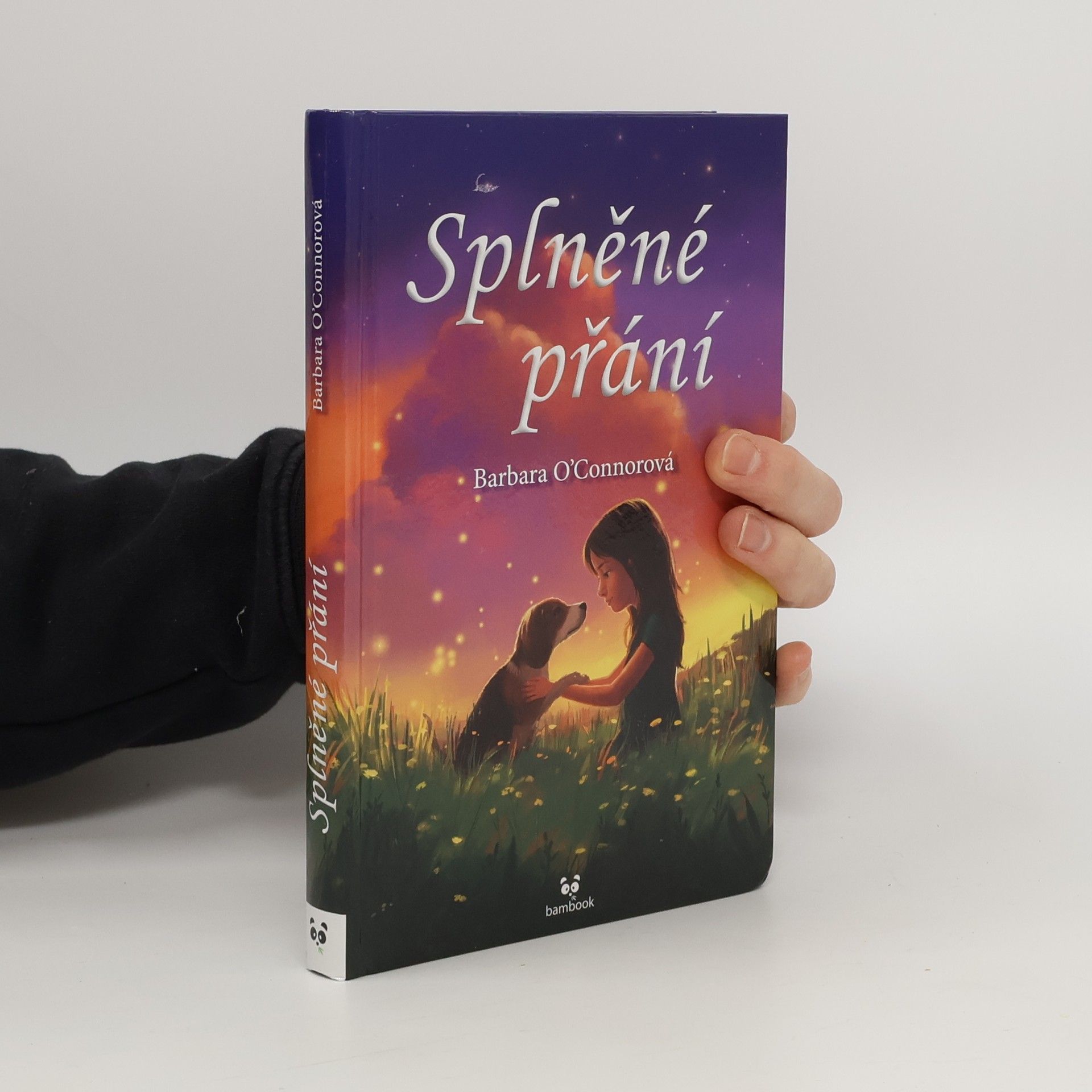 Barbara O'Connor Splněné přání