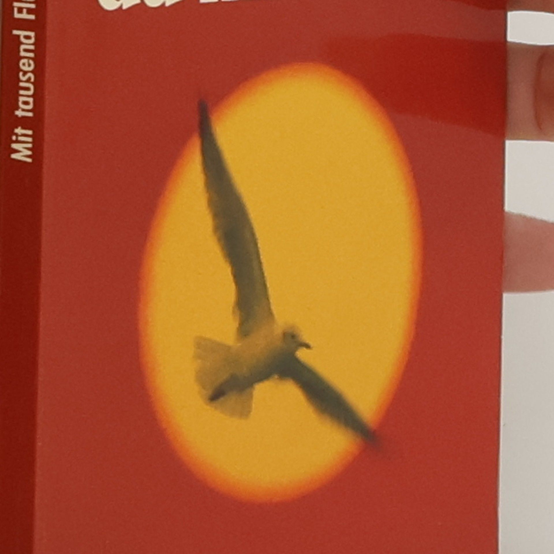 Ursula Assaf-Nowak Mit tausend Flügeln trägst du mich