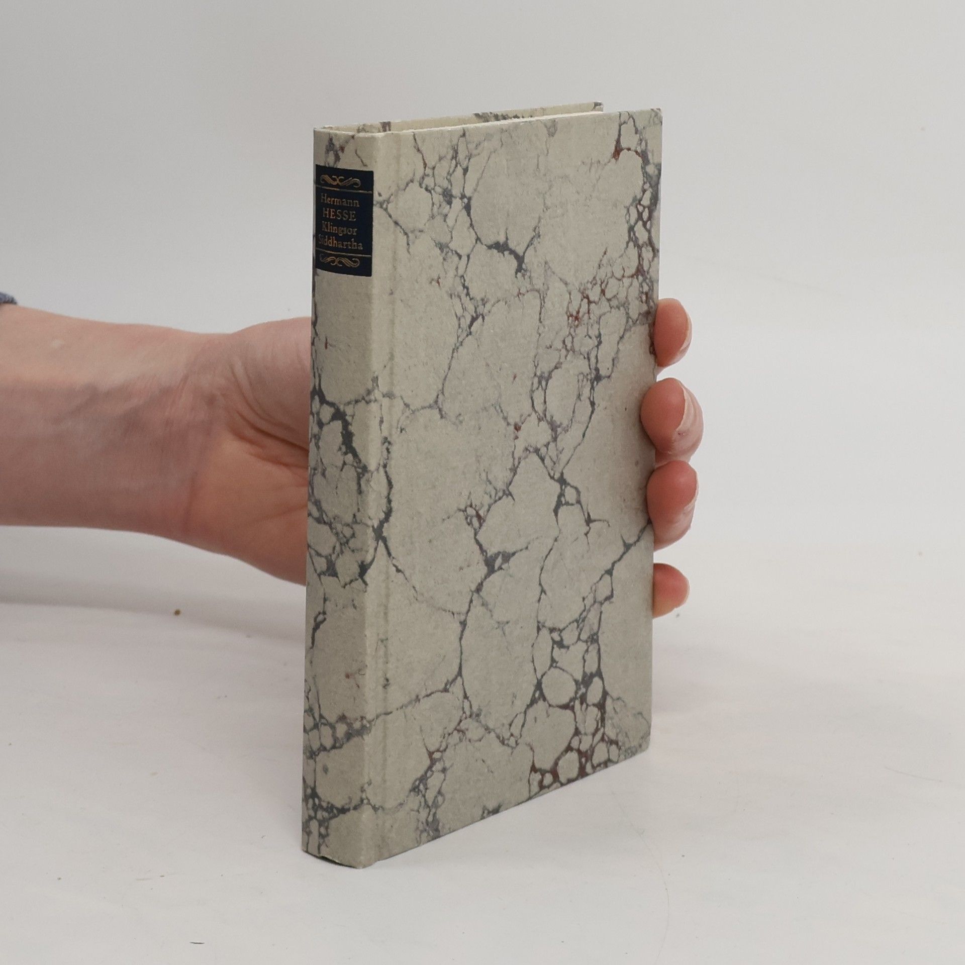 Hermann Hesse Die Romane und die grossen Erzählungen. Band 4 - Klein und Wagner / Klingsors letzter Sommer / Siddhartha