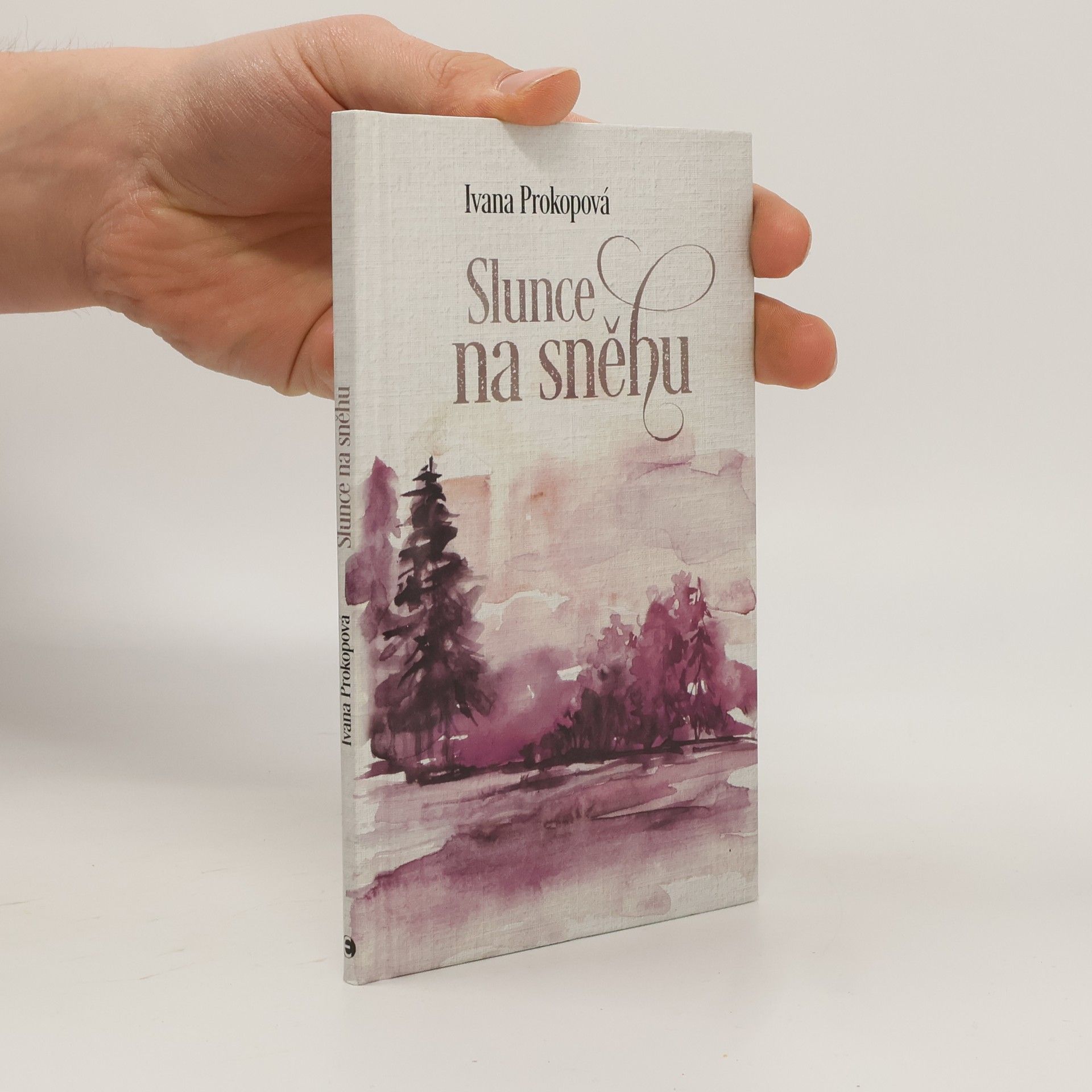 Ivana Prokopová Slunce na sněhu