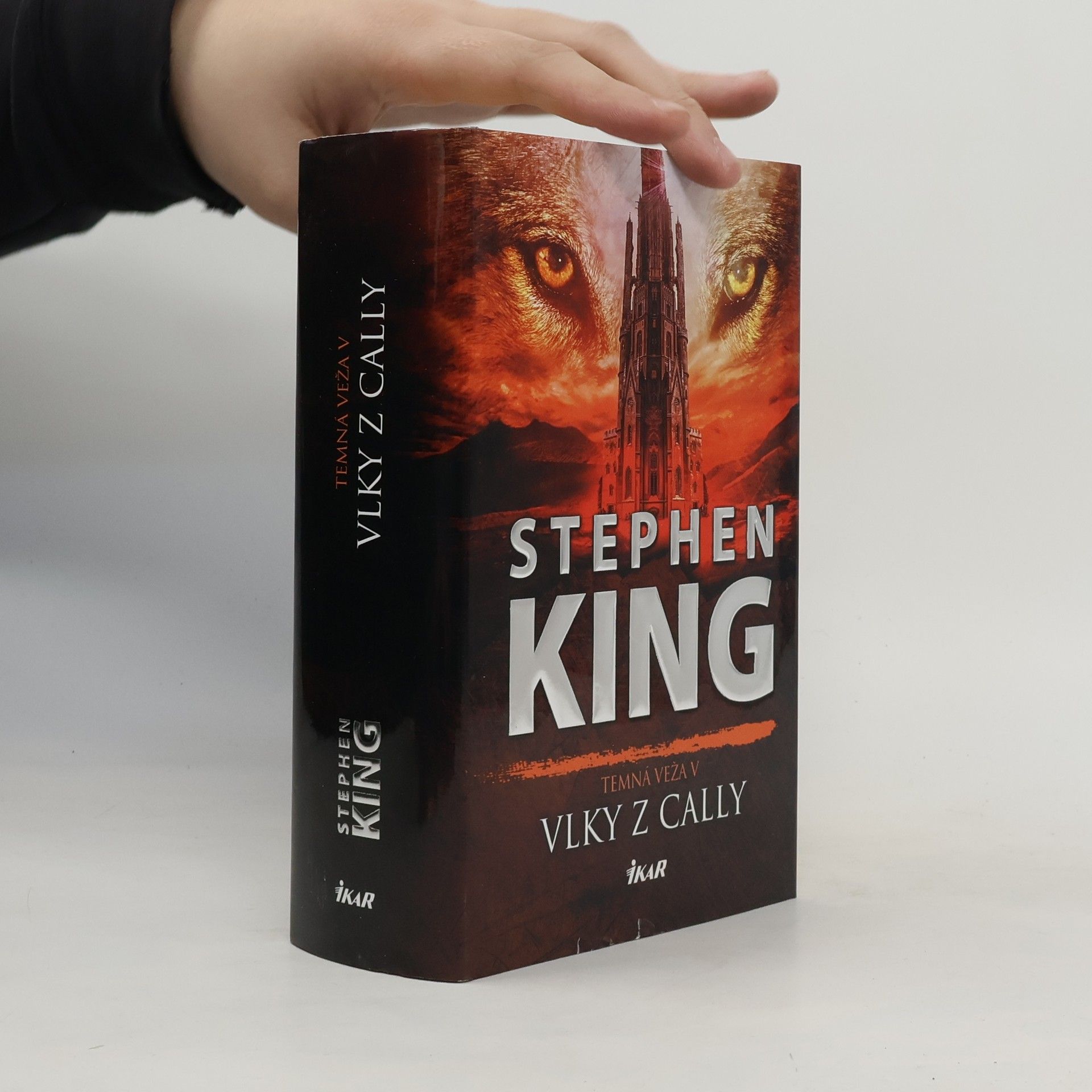 Stephen King Vlky z Cally