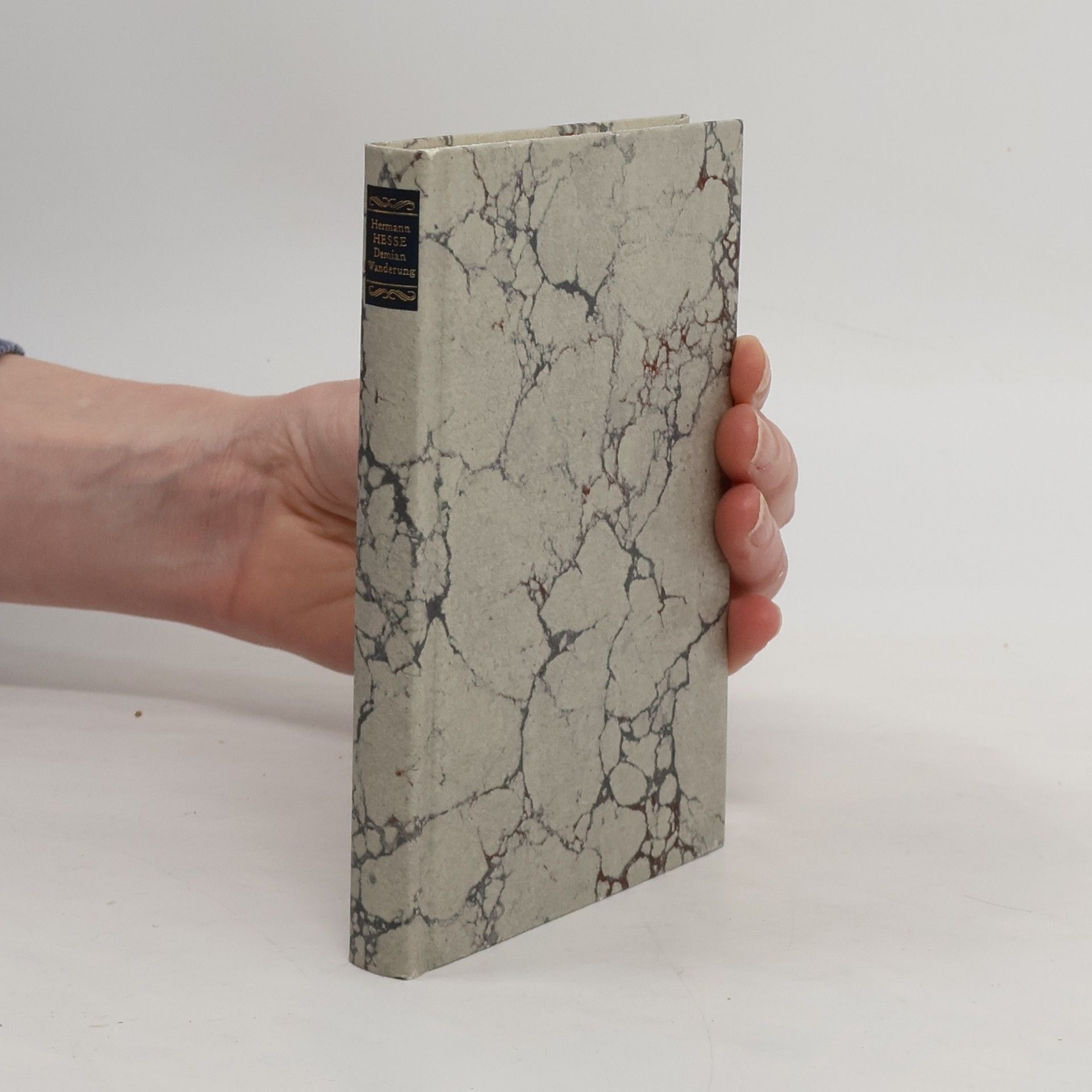 Hermann Hesse Demian Wanderung