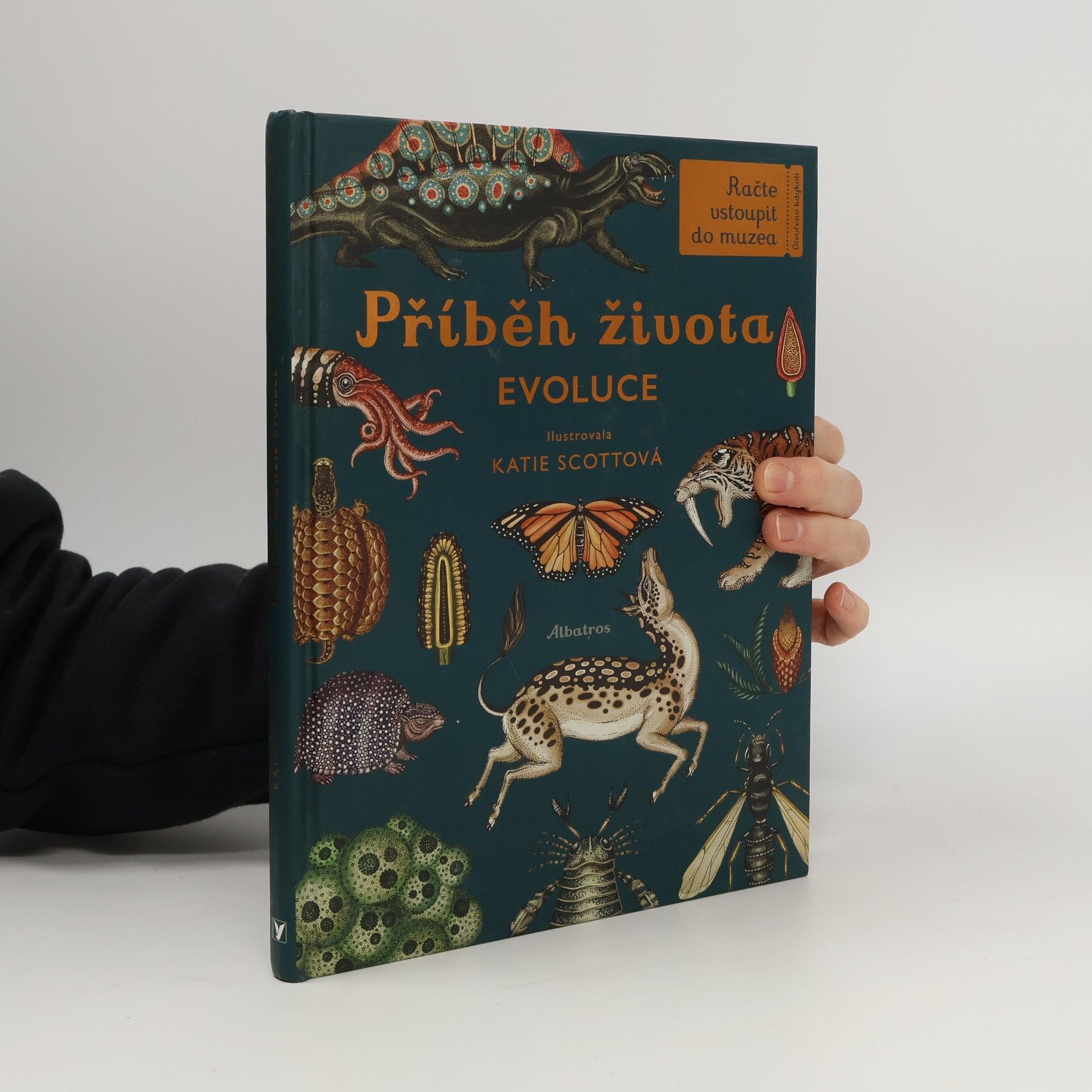 Příběh života: Evoluce