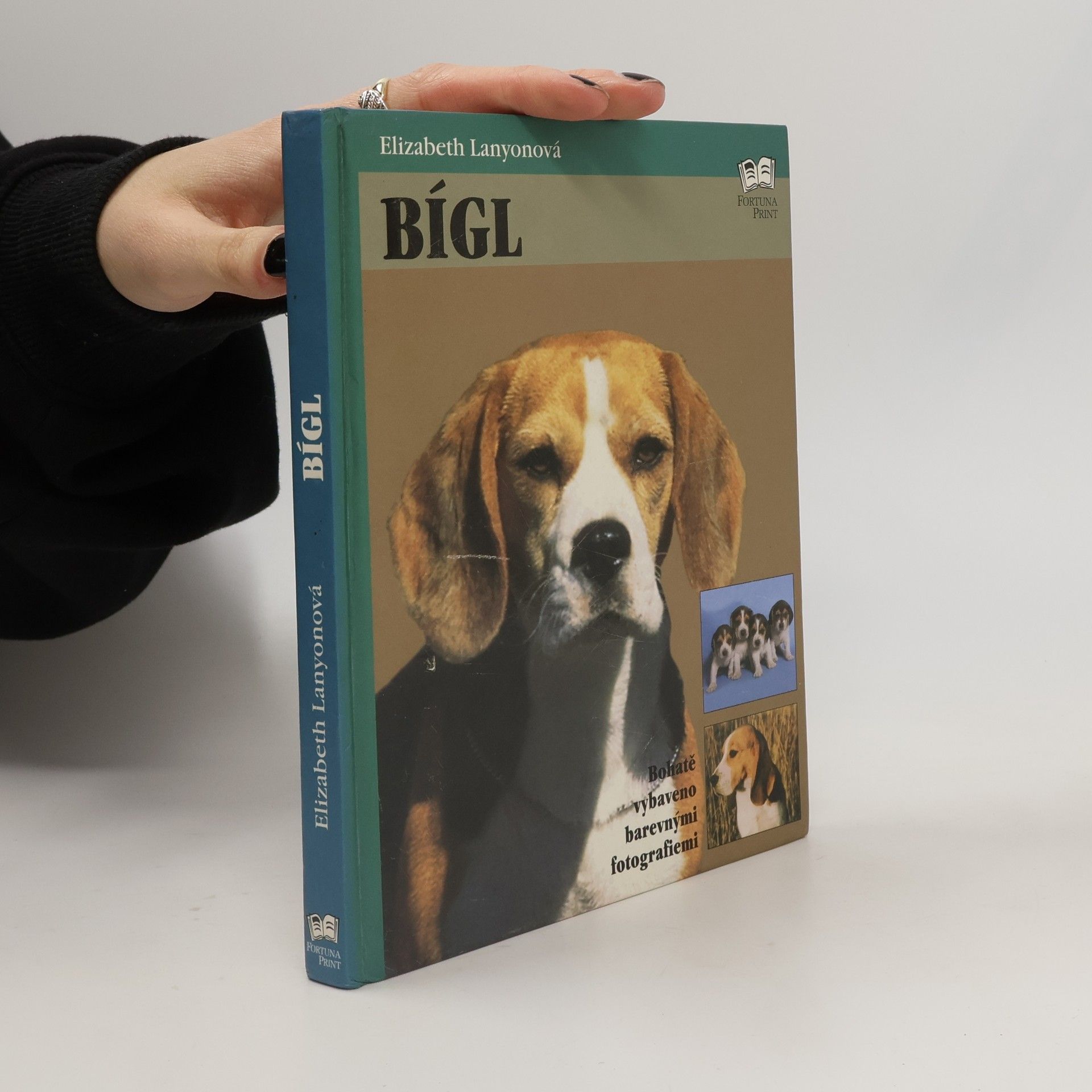 Elizabeth Lanyon Bígl