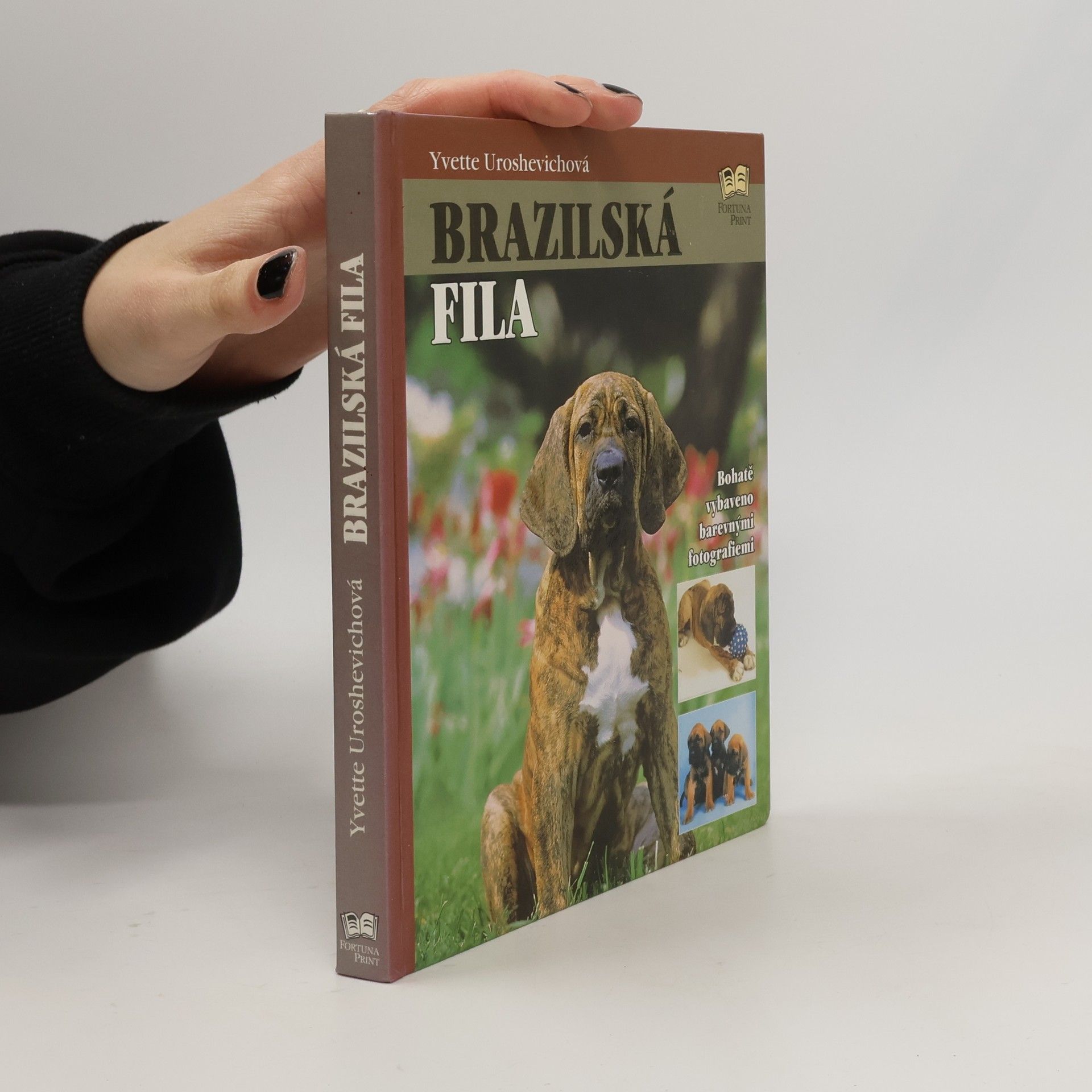 Yvette Uroshevich Brazilská fila