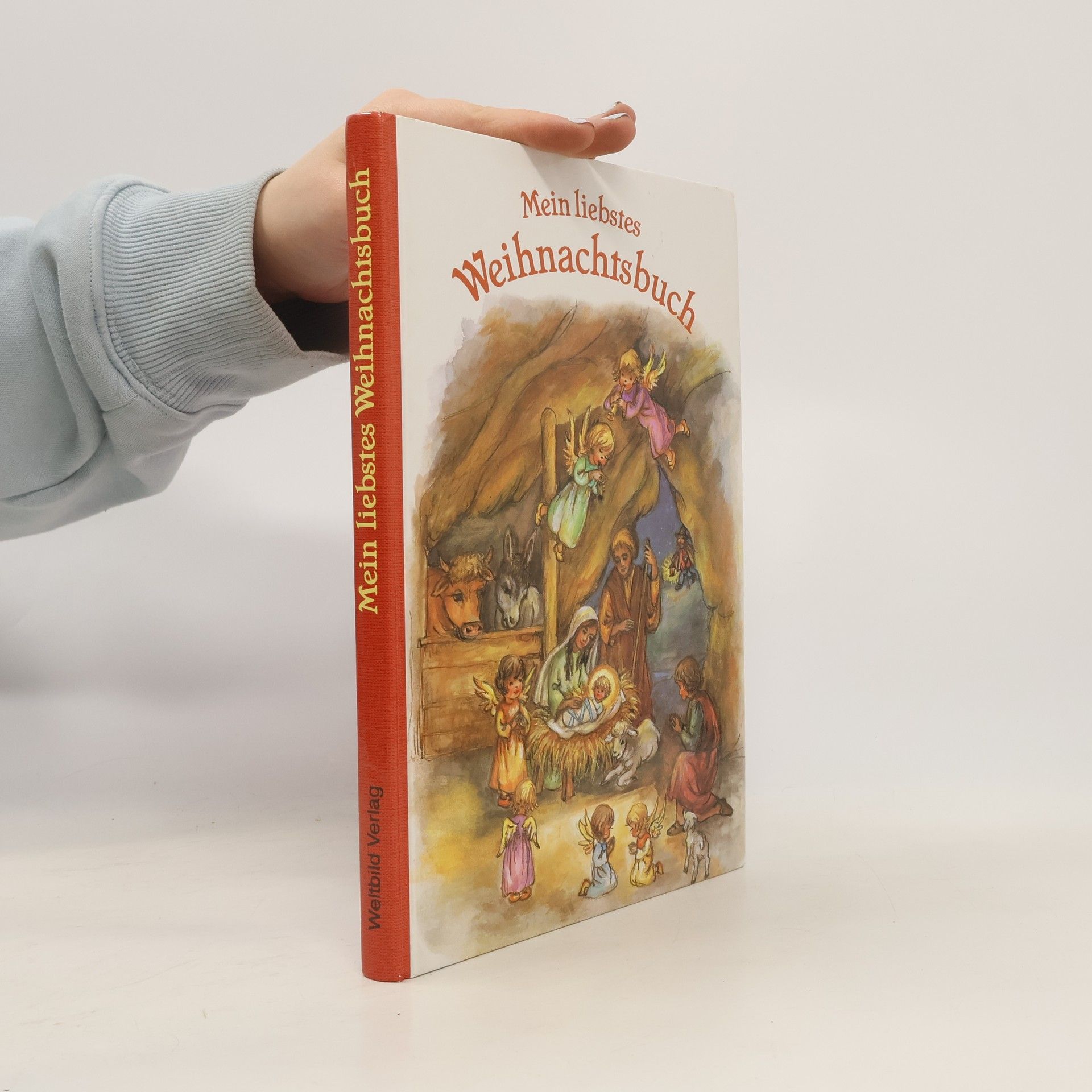 Collectif d'auteurs Mein liebstes Weihnachtsbuch