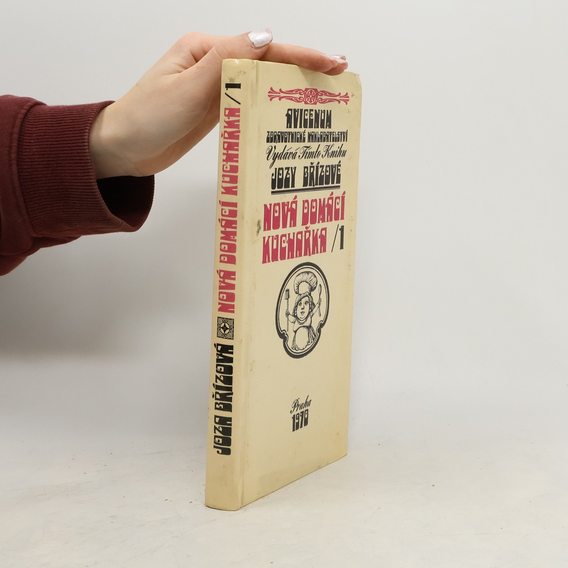 Joza Břízová Nová domácí kuchařka 1