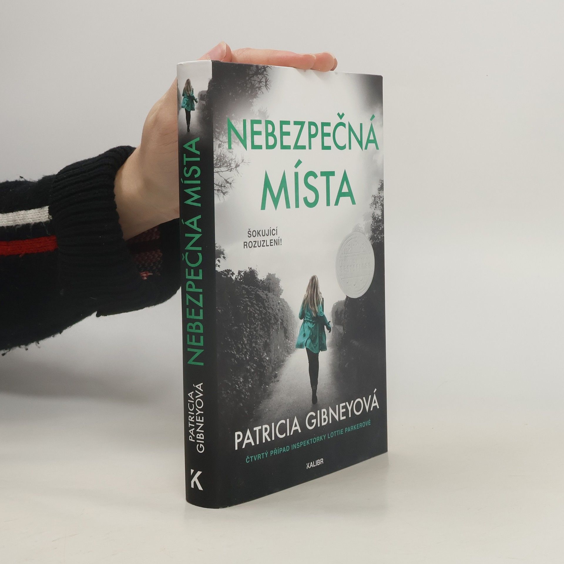 Patricia Gibney Nebezpečná místa