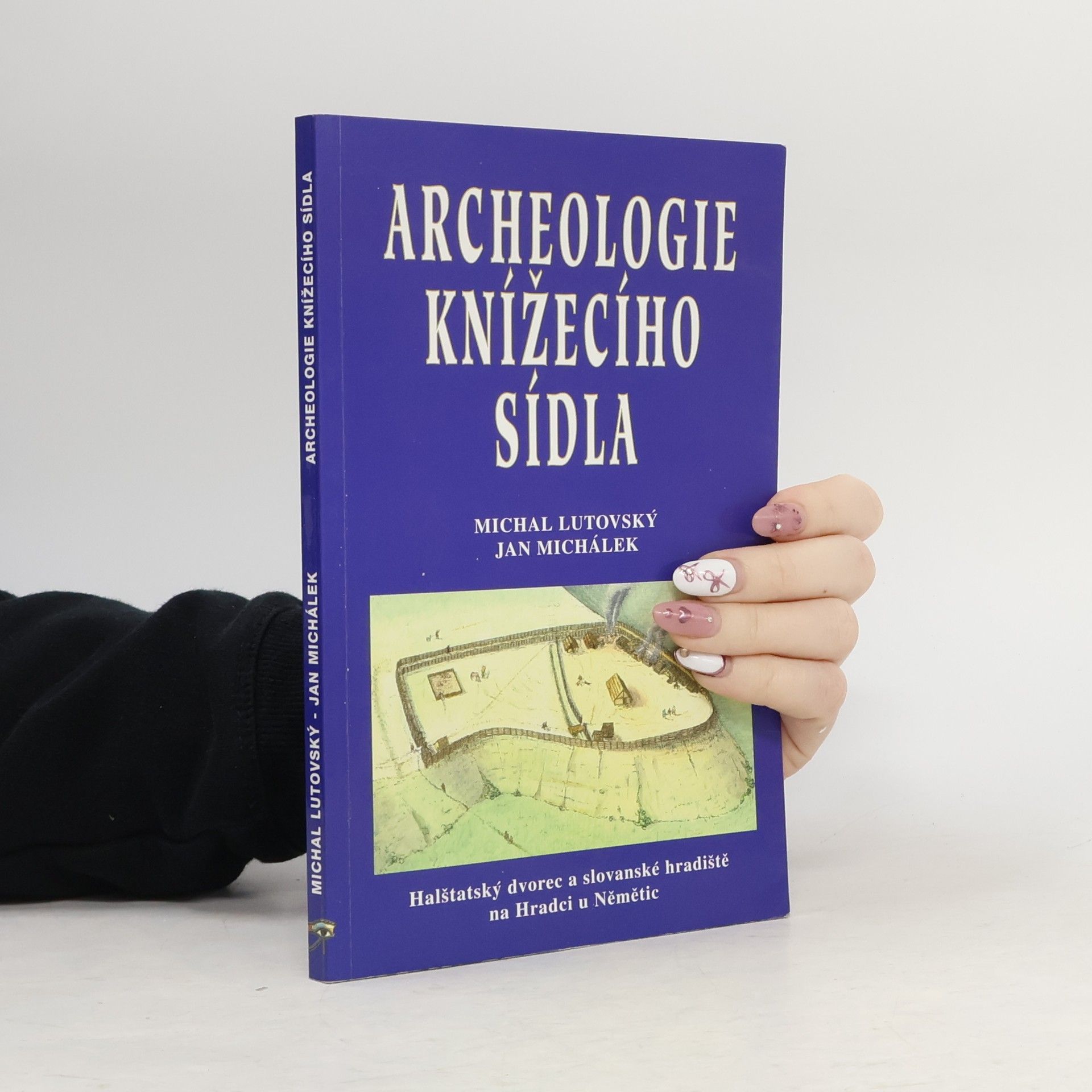 Michal Lutovský Archeologie knížecího sídla