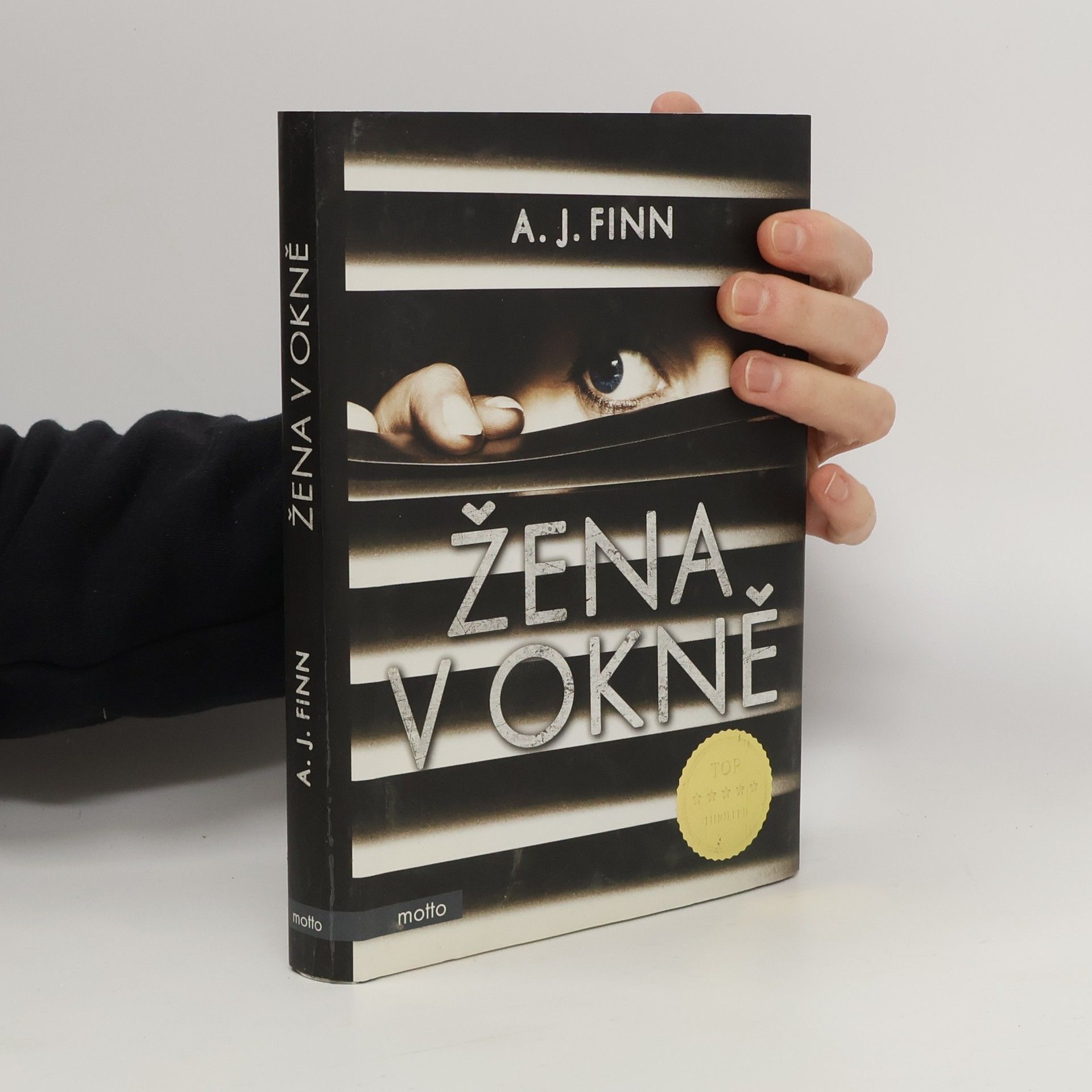 Daniel Mallory Žena v okně