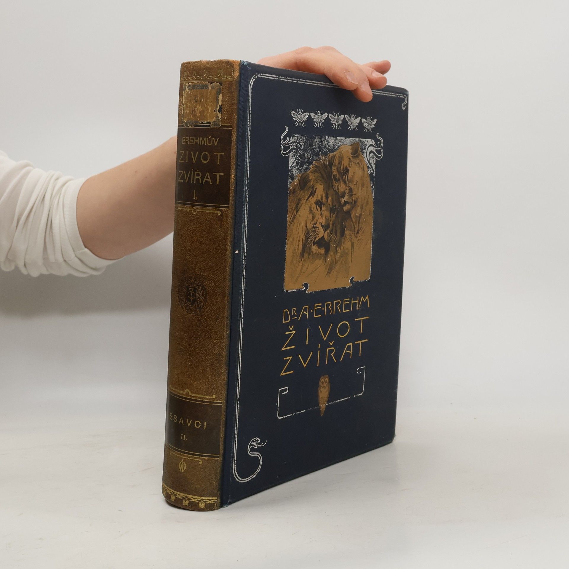 Brehmův Život zvířat. Díl I., Ssavci