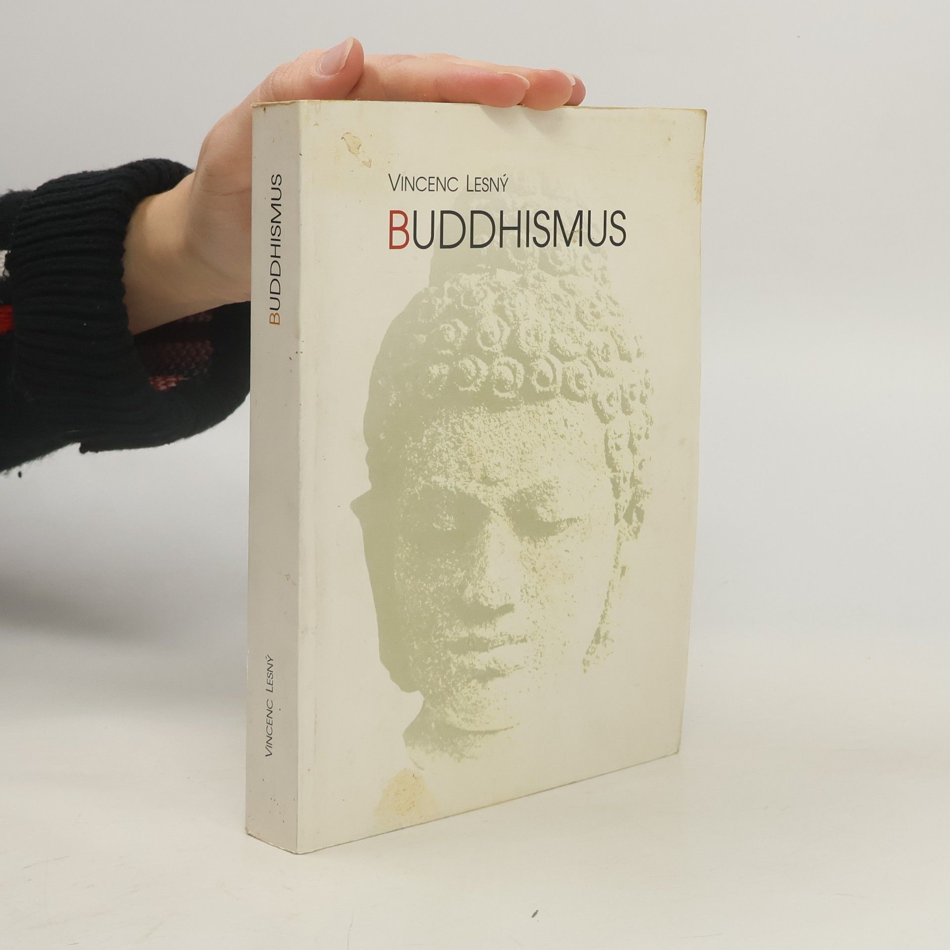 Vincenc Lesný Buddhismus