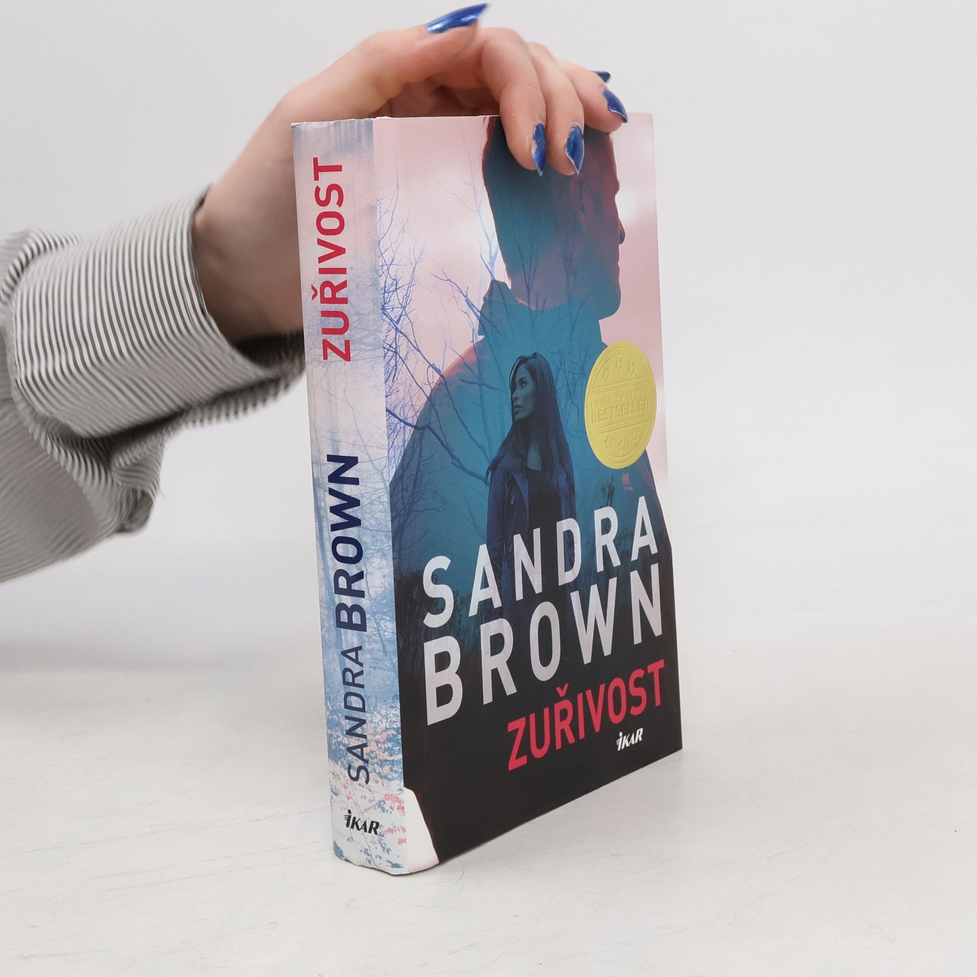 Sandra Brown Zuřivost