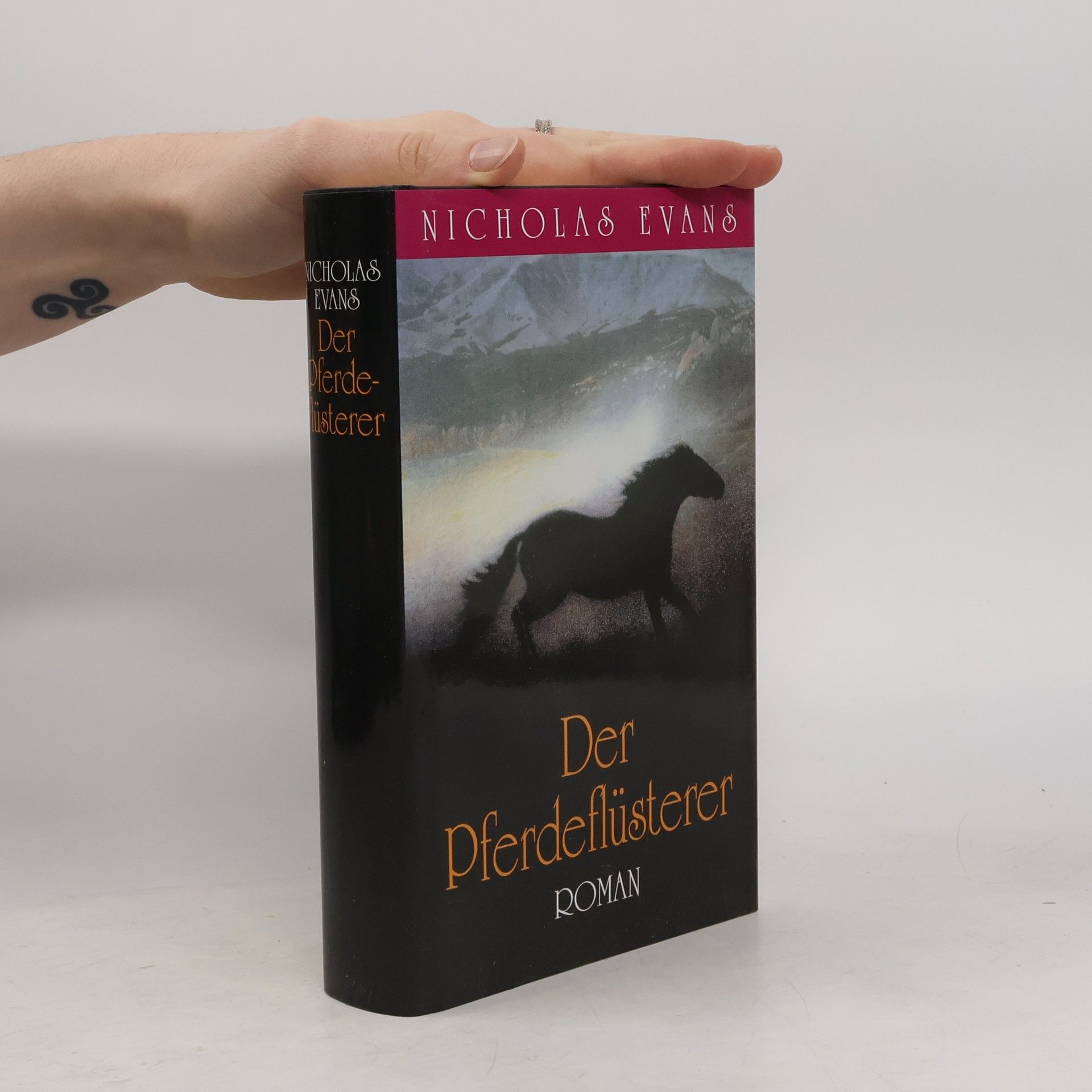 Nicholas Evans Der Pferdeflüsterer