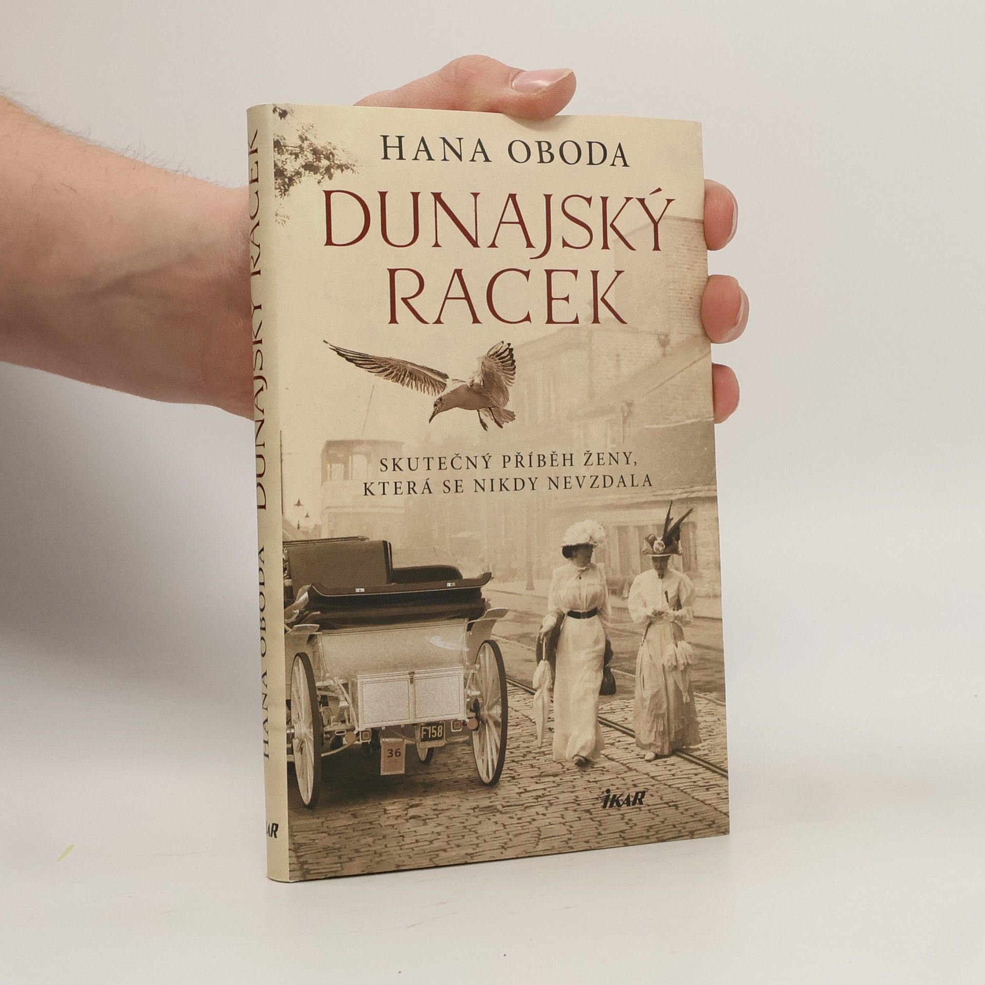 Hana Oboda Dunajský racek