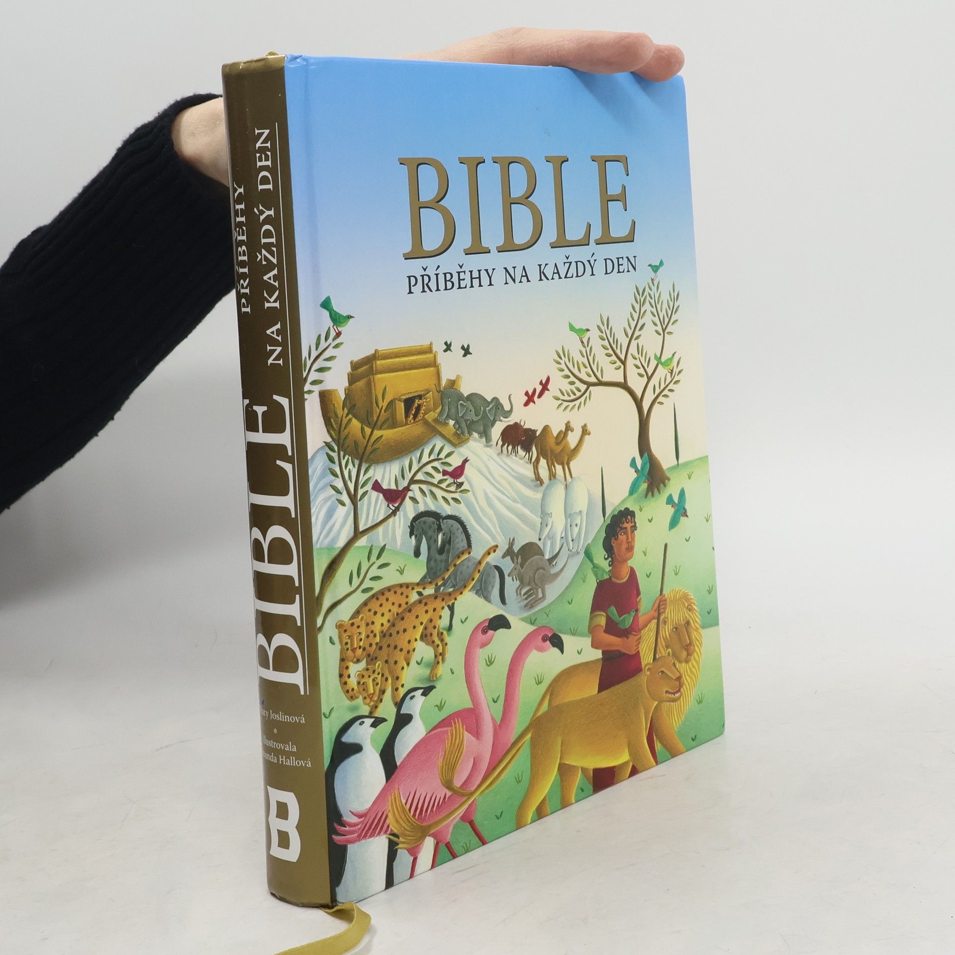 Mary Joslin Bible : příběhy na každý den