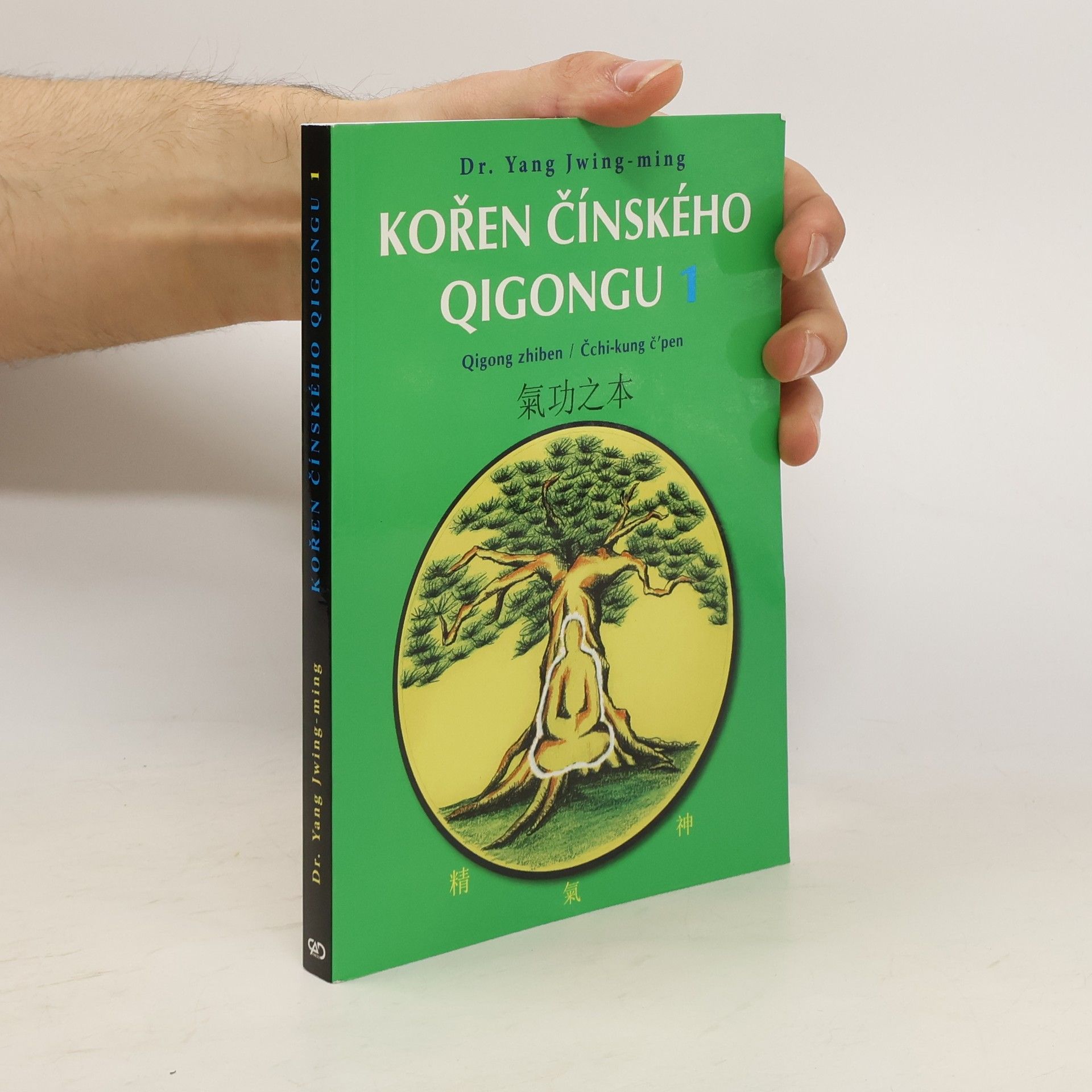 Junmin Yang Kořen čínského qigongu 1