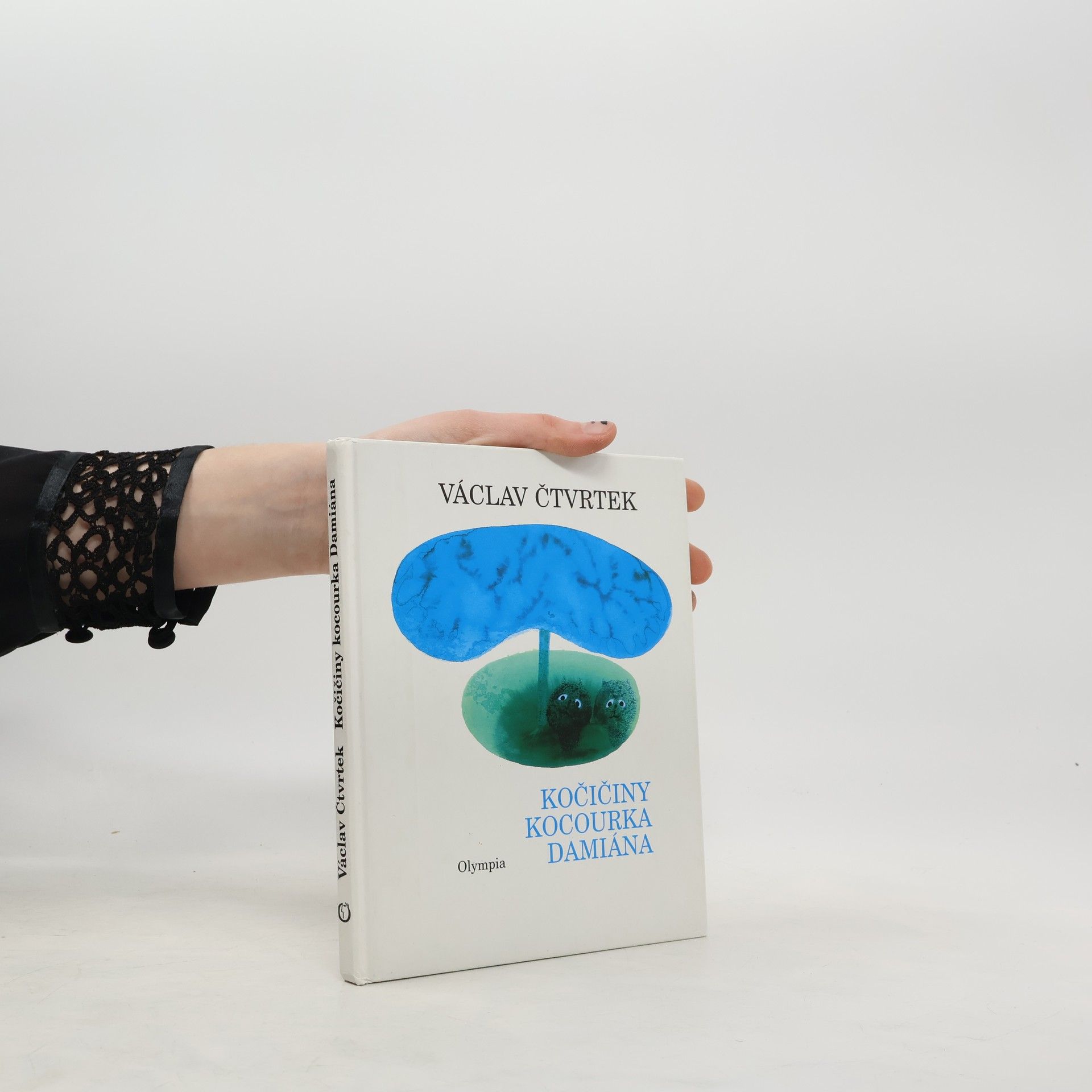 Kočičiny kocourka Damiána